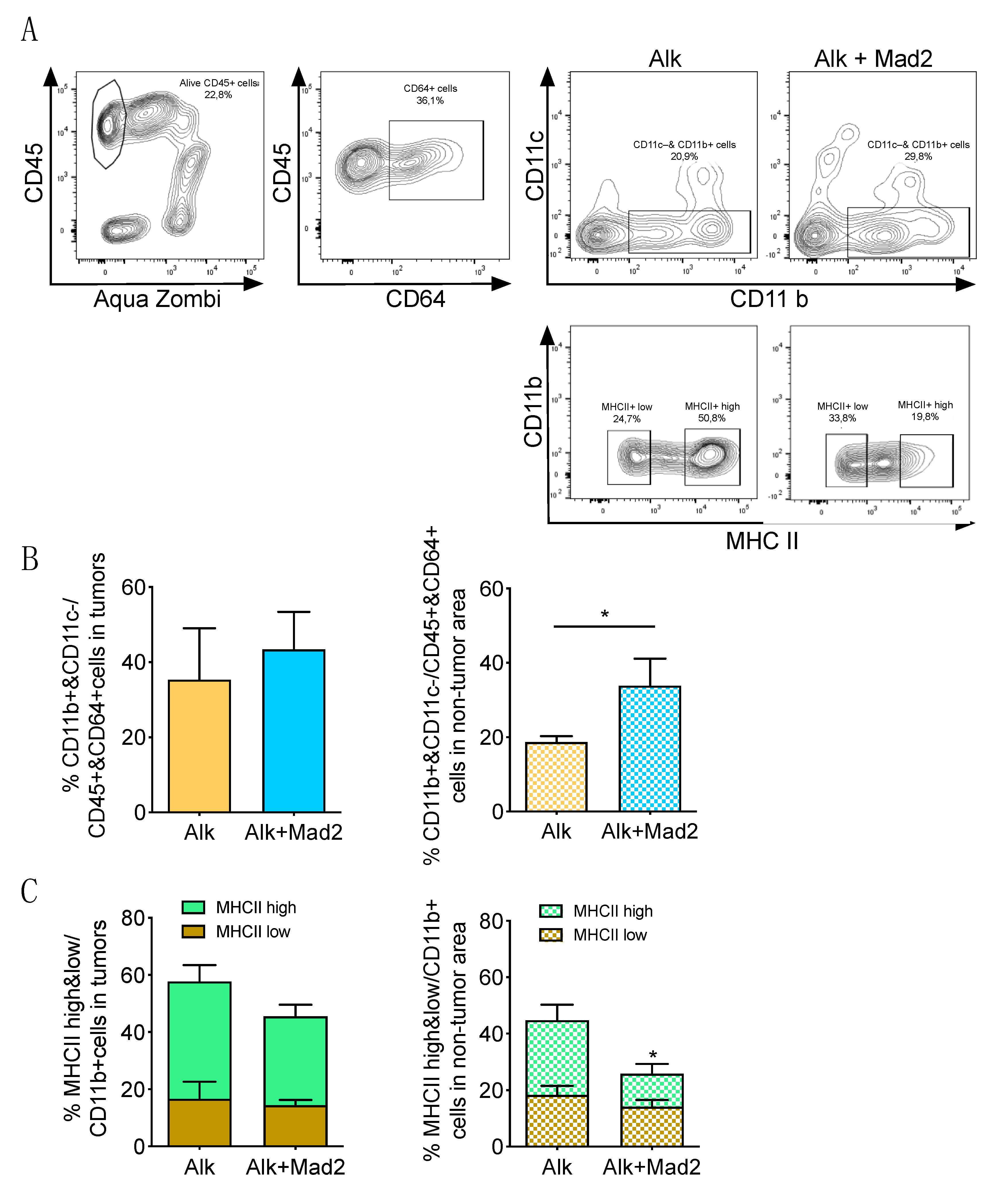 Cancers 13 06027 g003