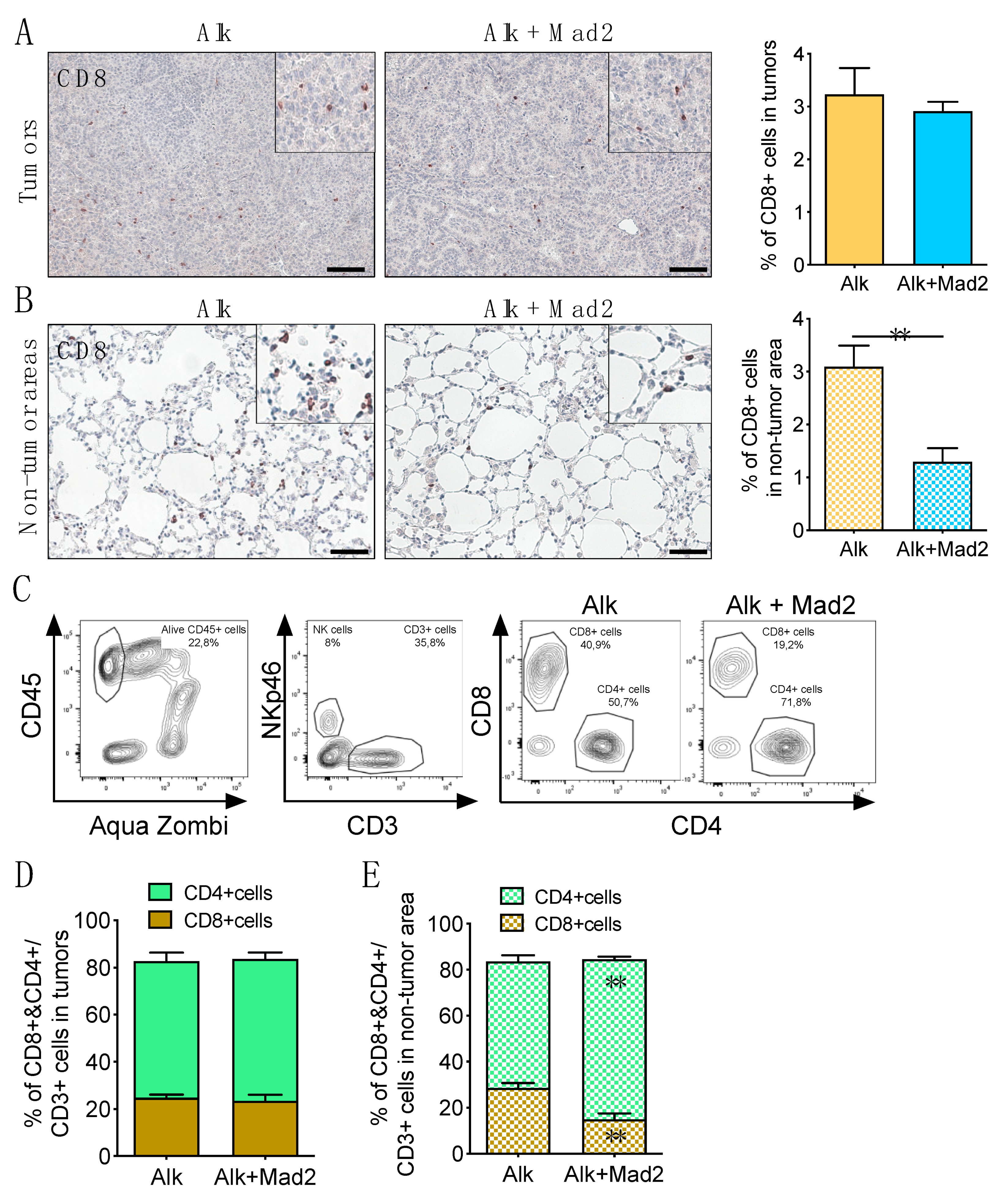 Cancers 13 06027 g004