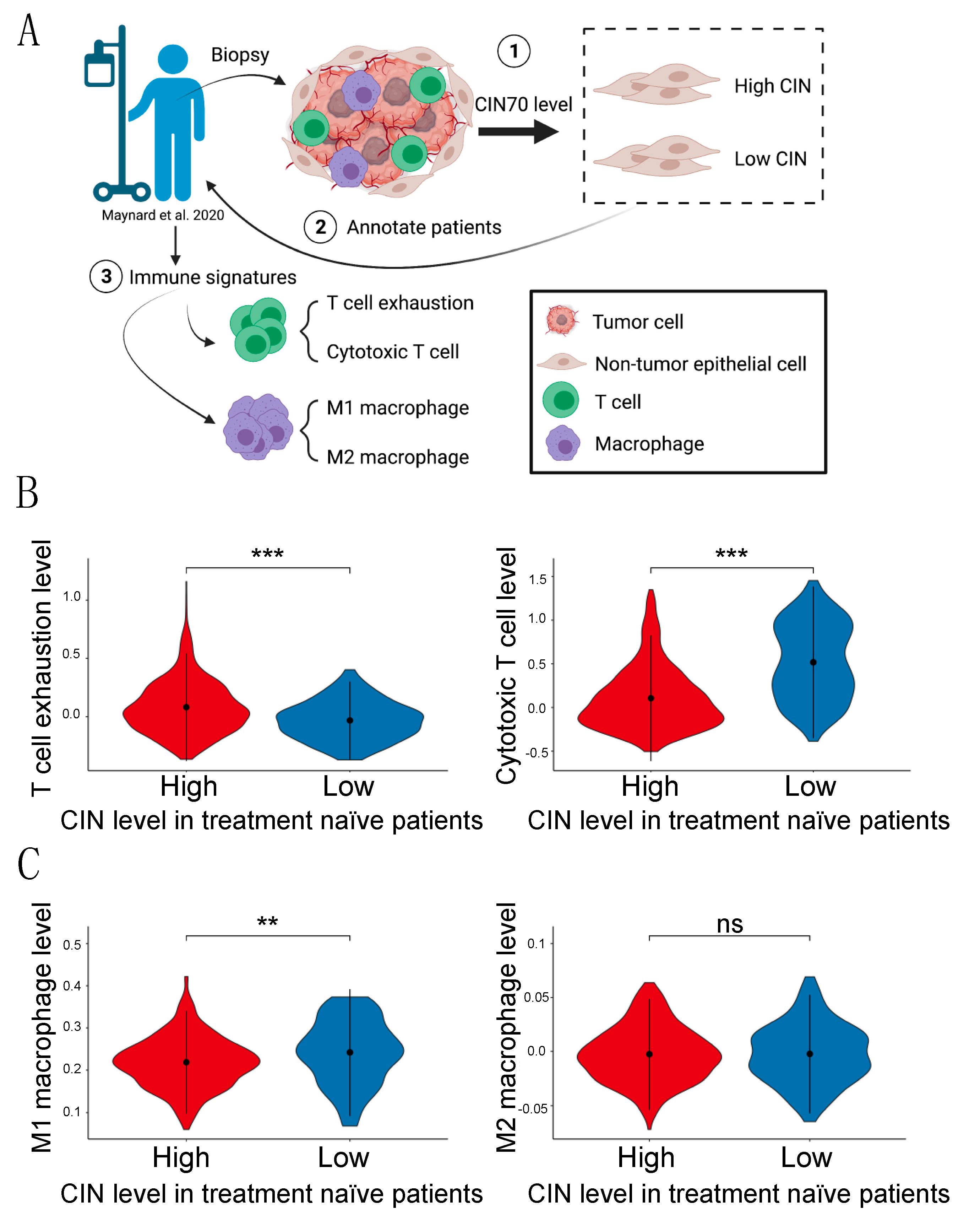 Cancers 13 06027 g006