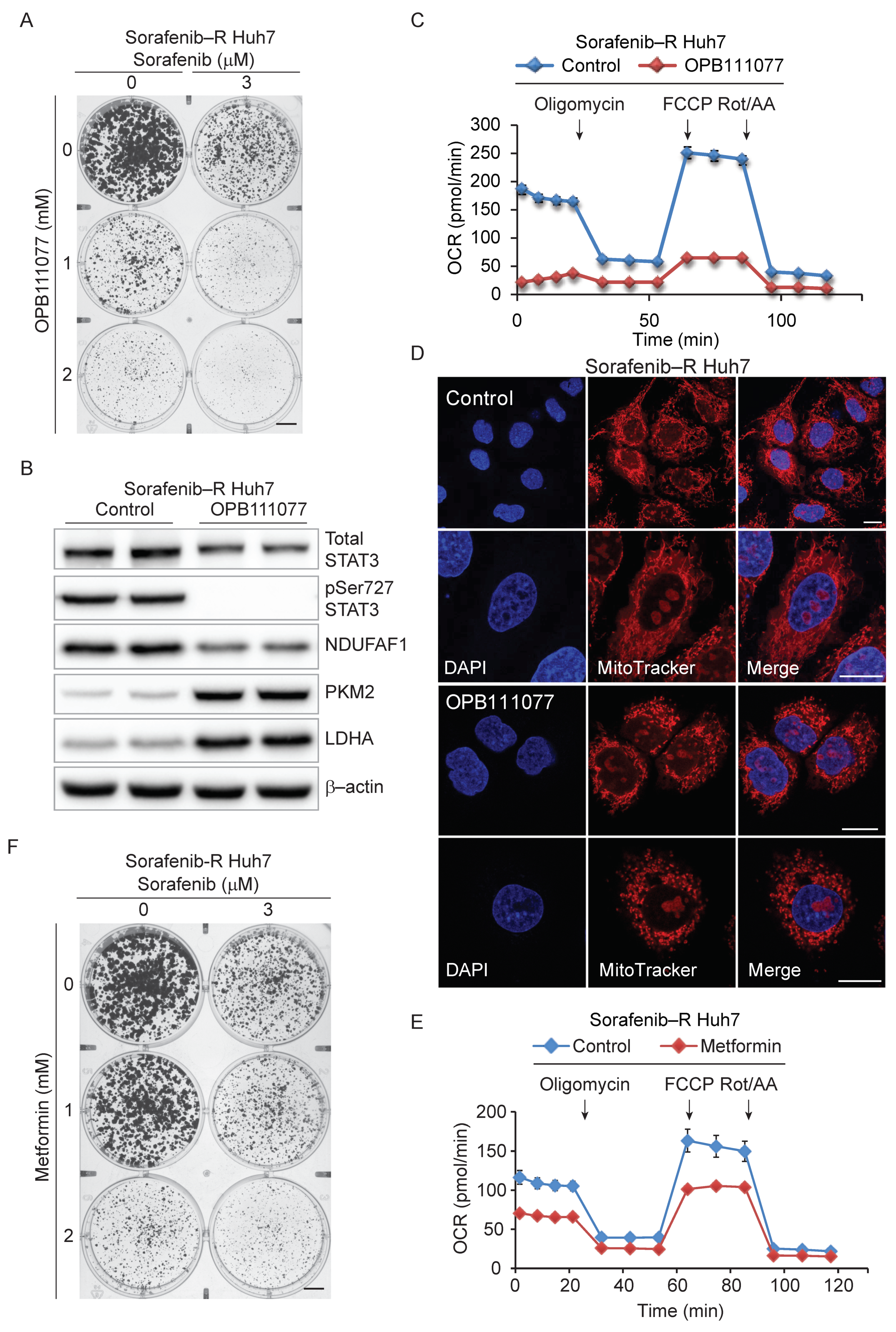 Cancers 13 06029 g005