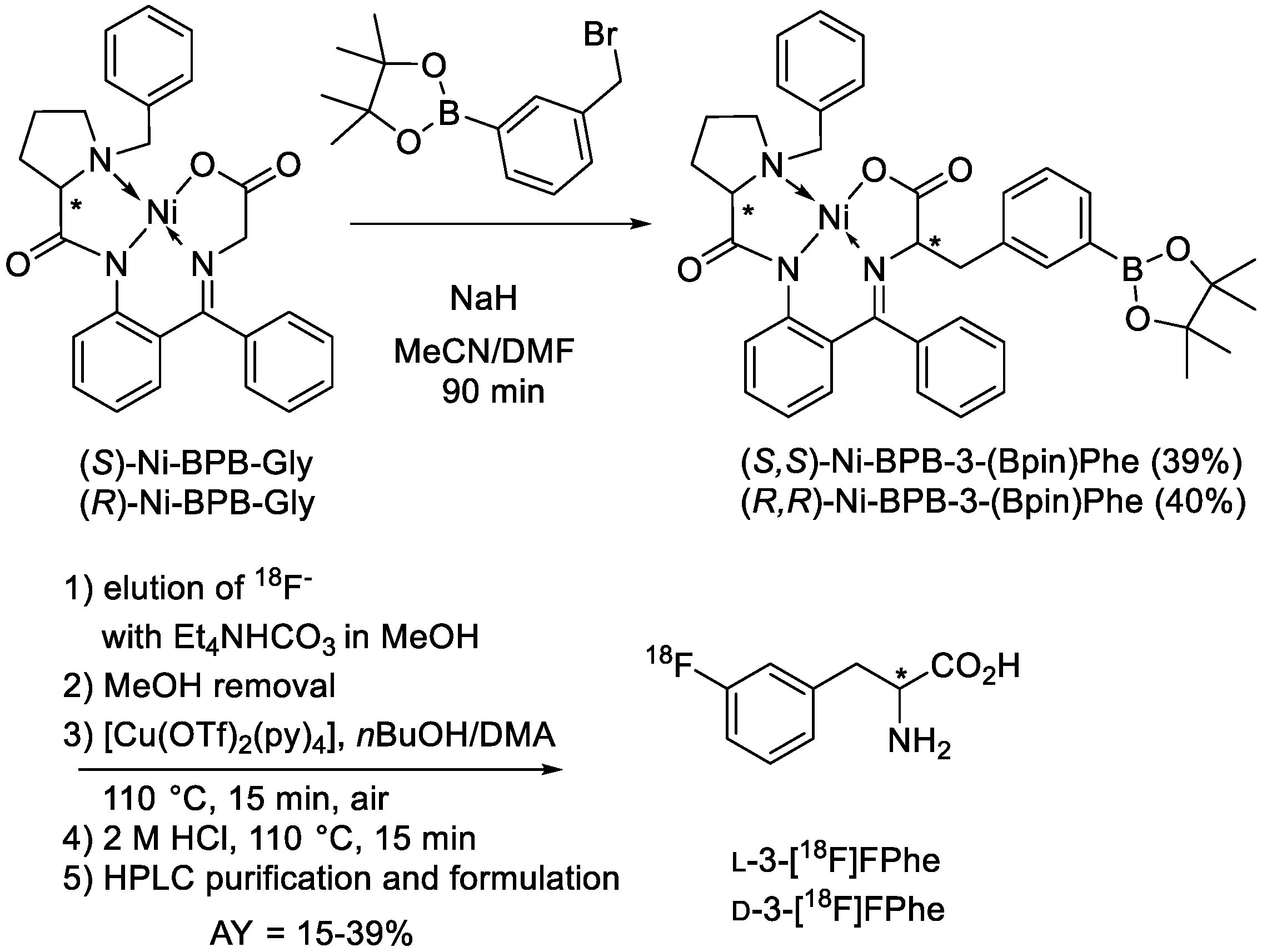 Cancers 13 06030 g001 550