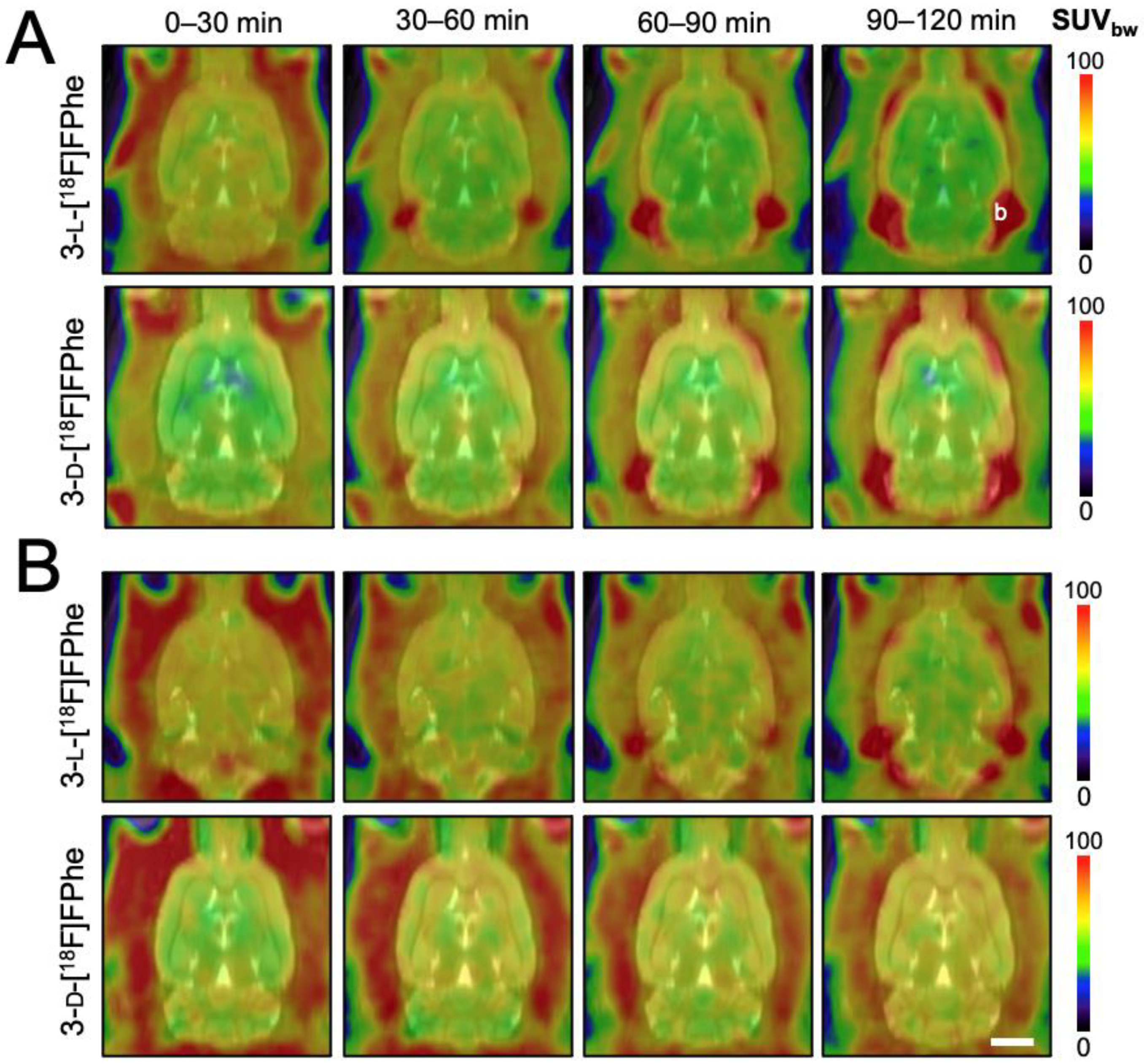 Cancers 13 06030 g006 550