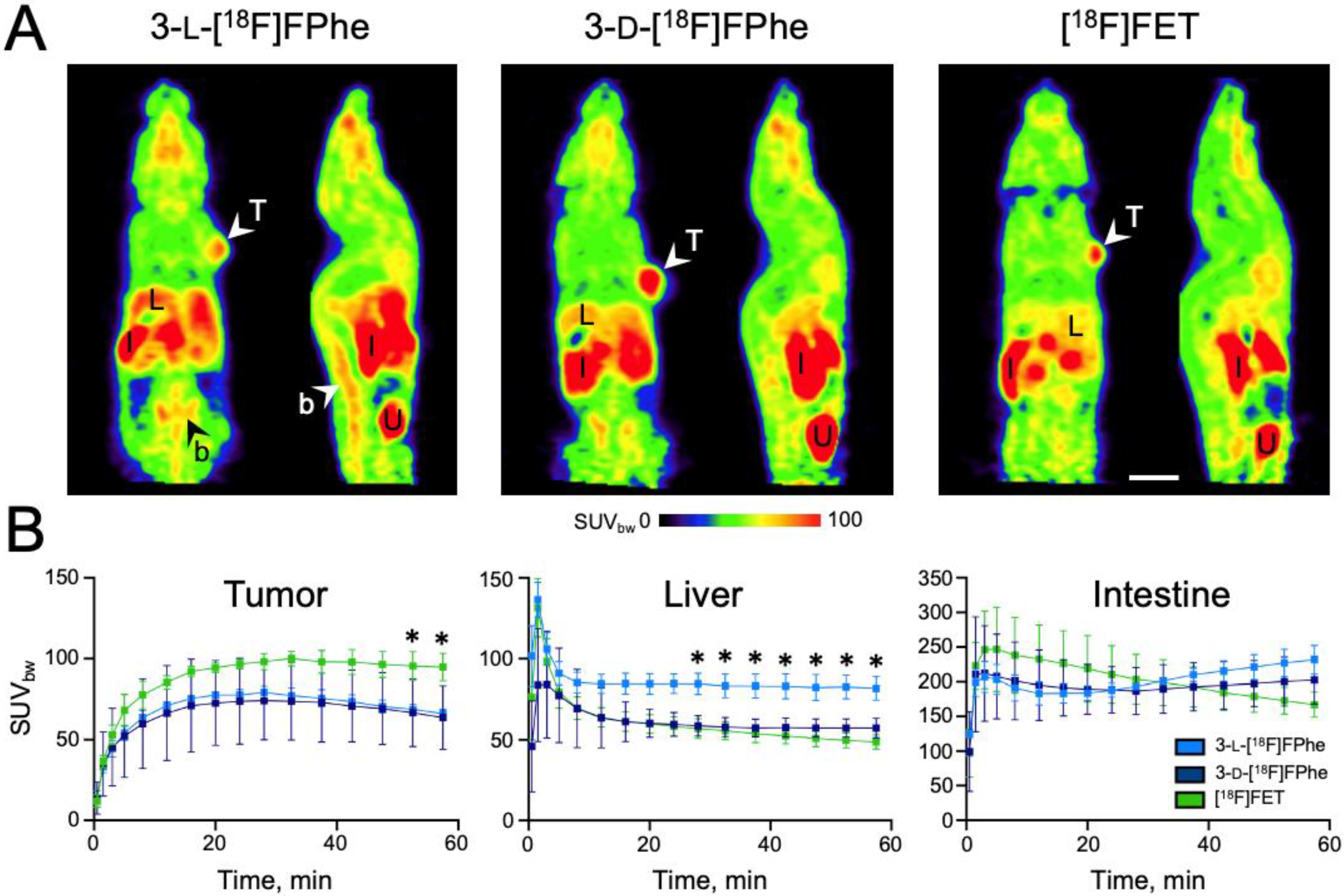 Cancers 13 06030 g008 550