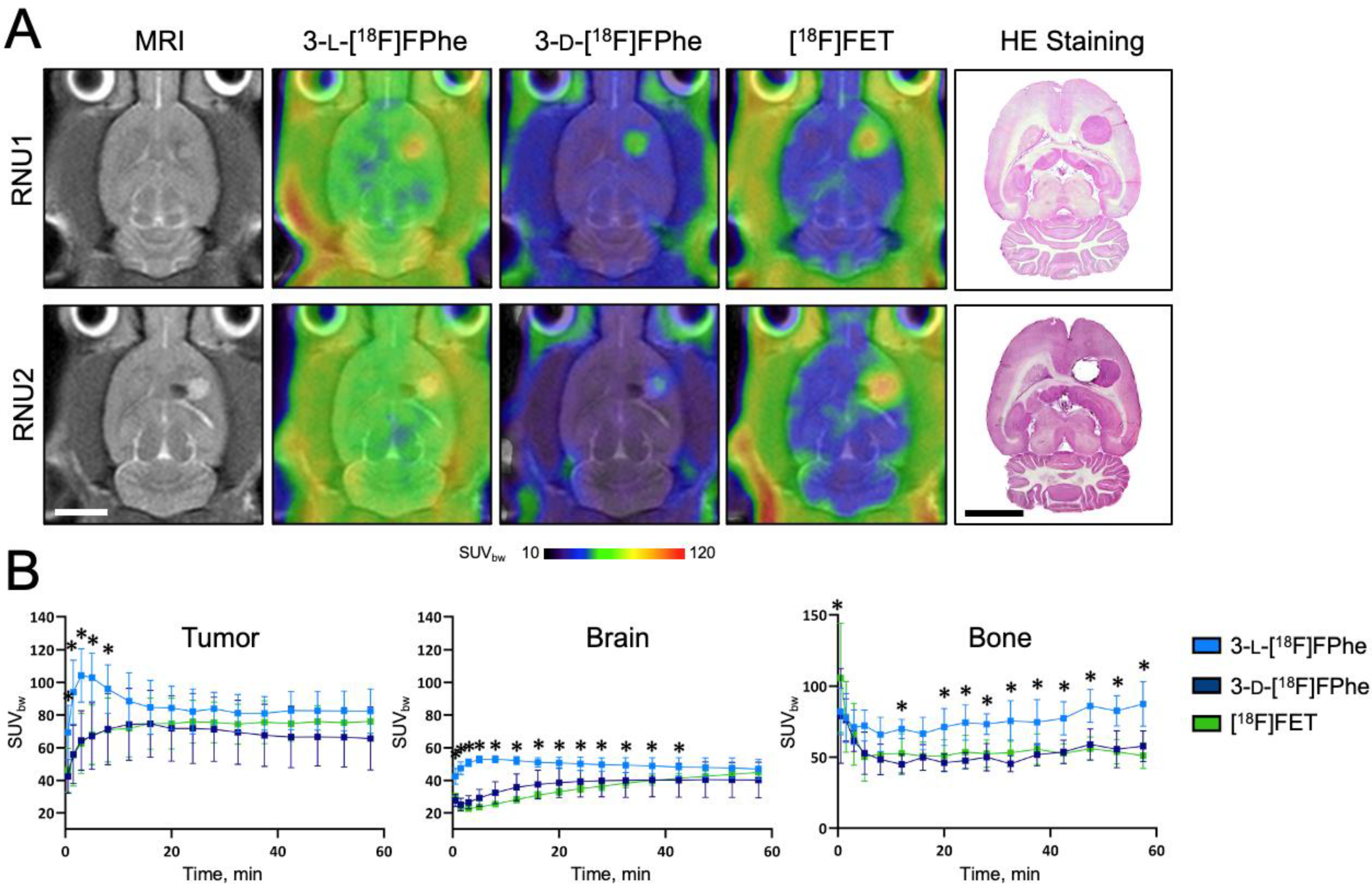 Cancers 13 06030 g009 550