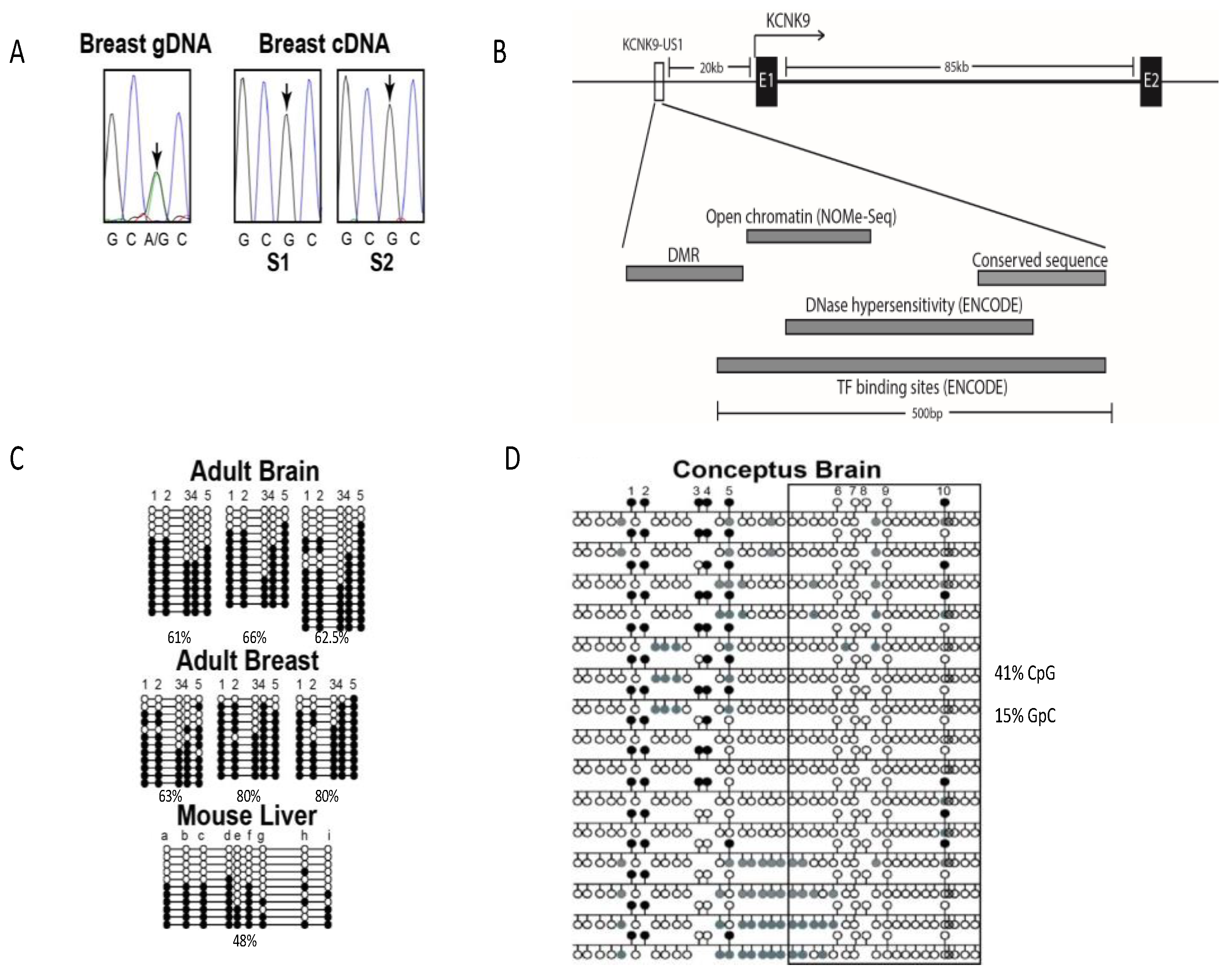 Cancers 13 06031 g001 Cancers 13 06031 g001