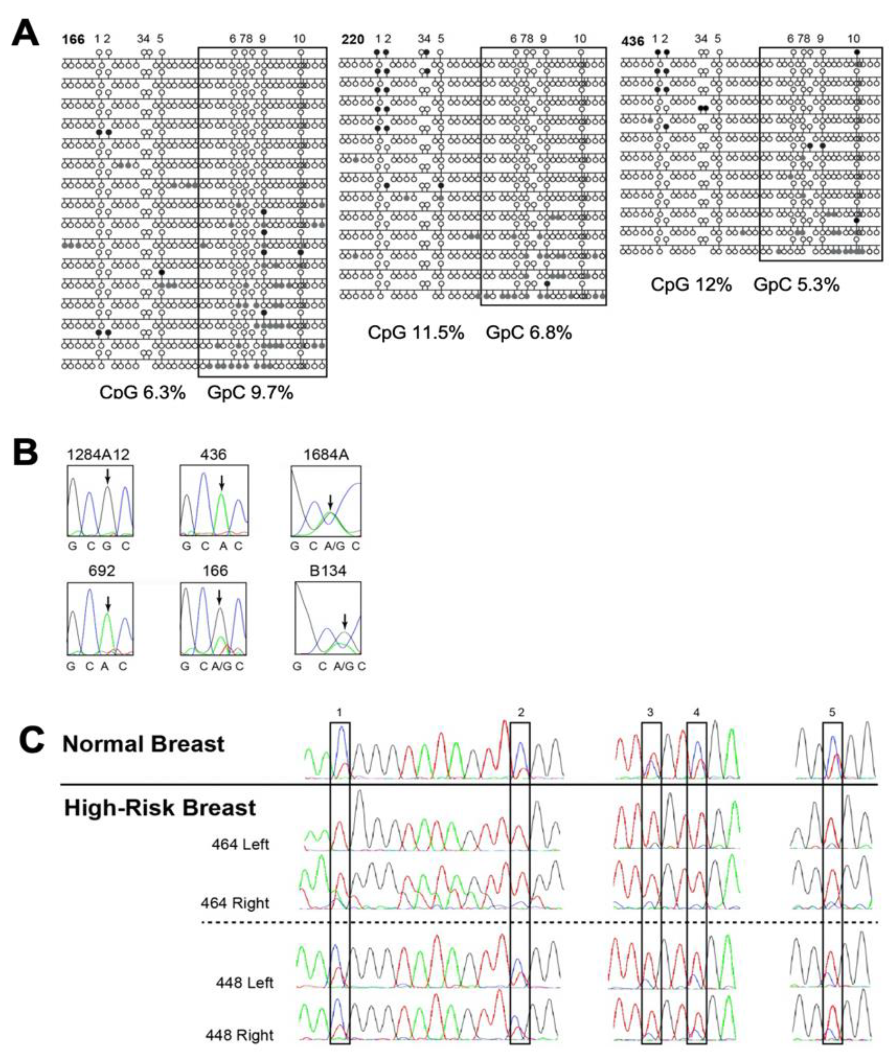 Cancers 13 06031 g003 Cancers 13 06031 g003