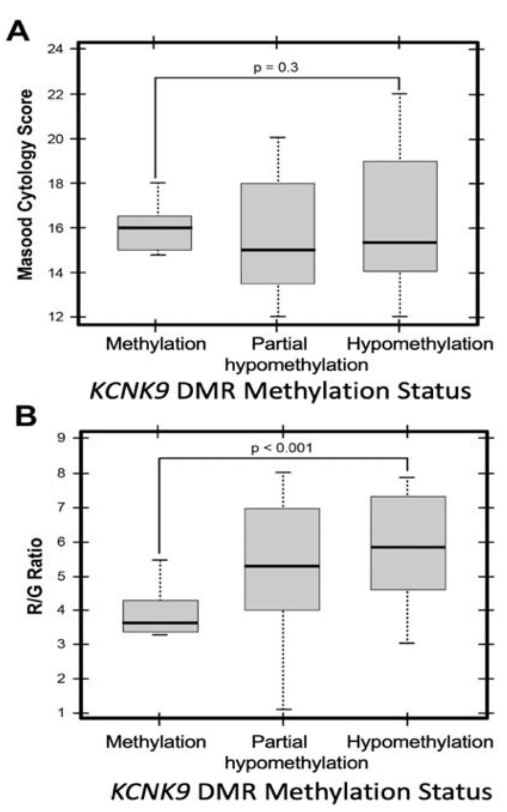 Cancers 13 06031 g007 Cancers 13 06031 g007