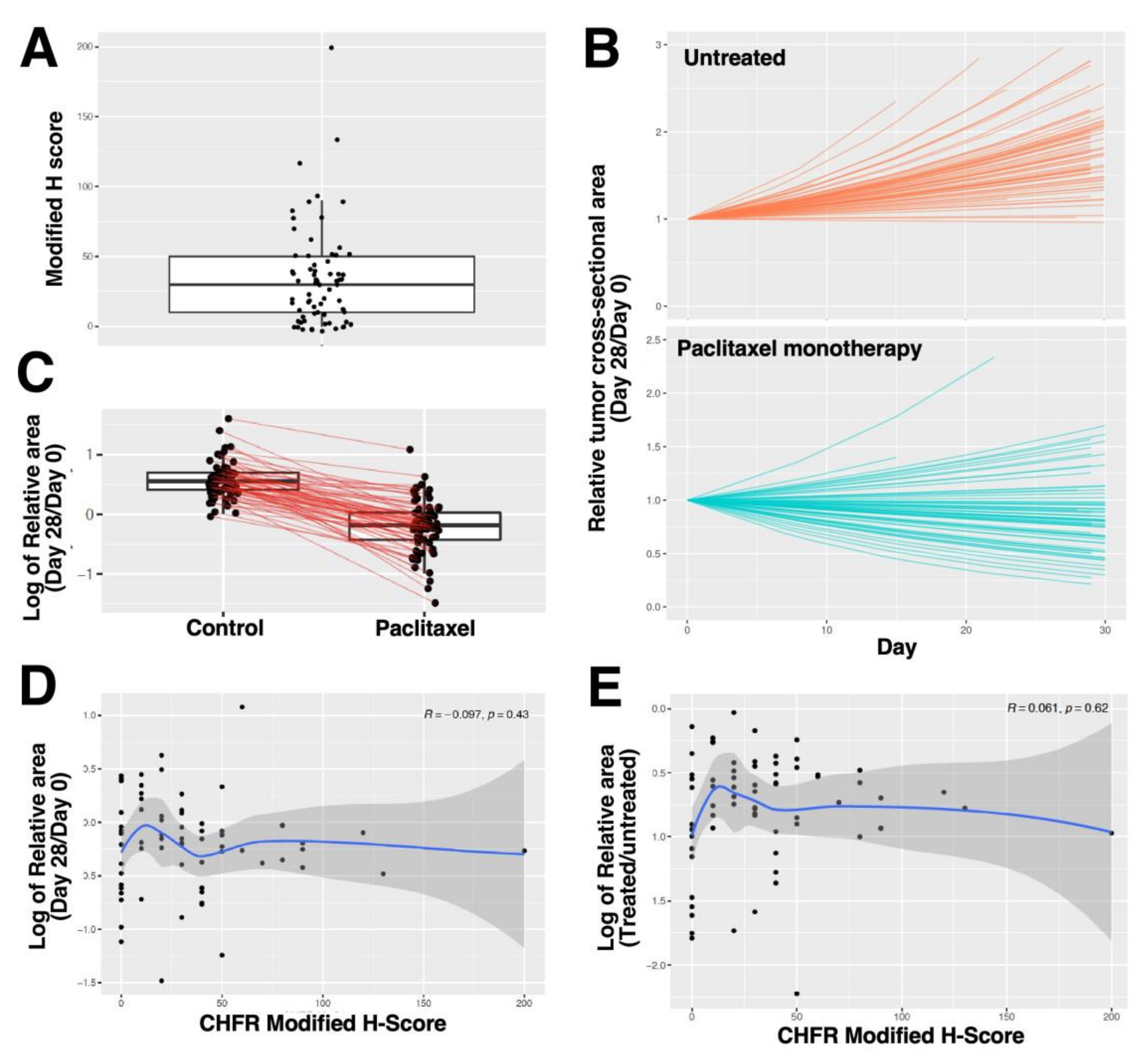 Cancers 13 06043 g004 Cancers 13 06043 g004