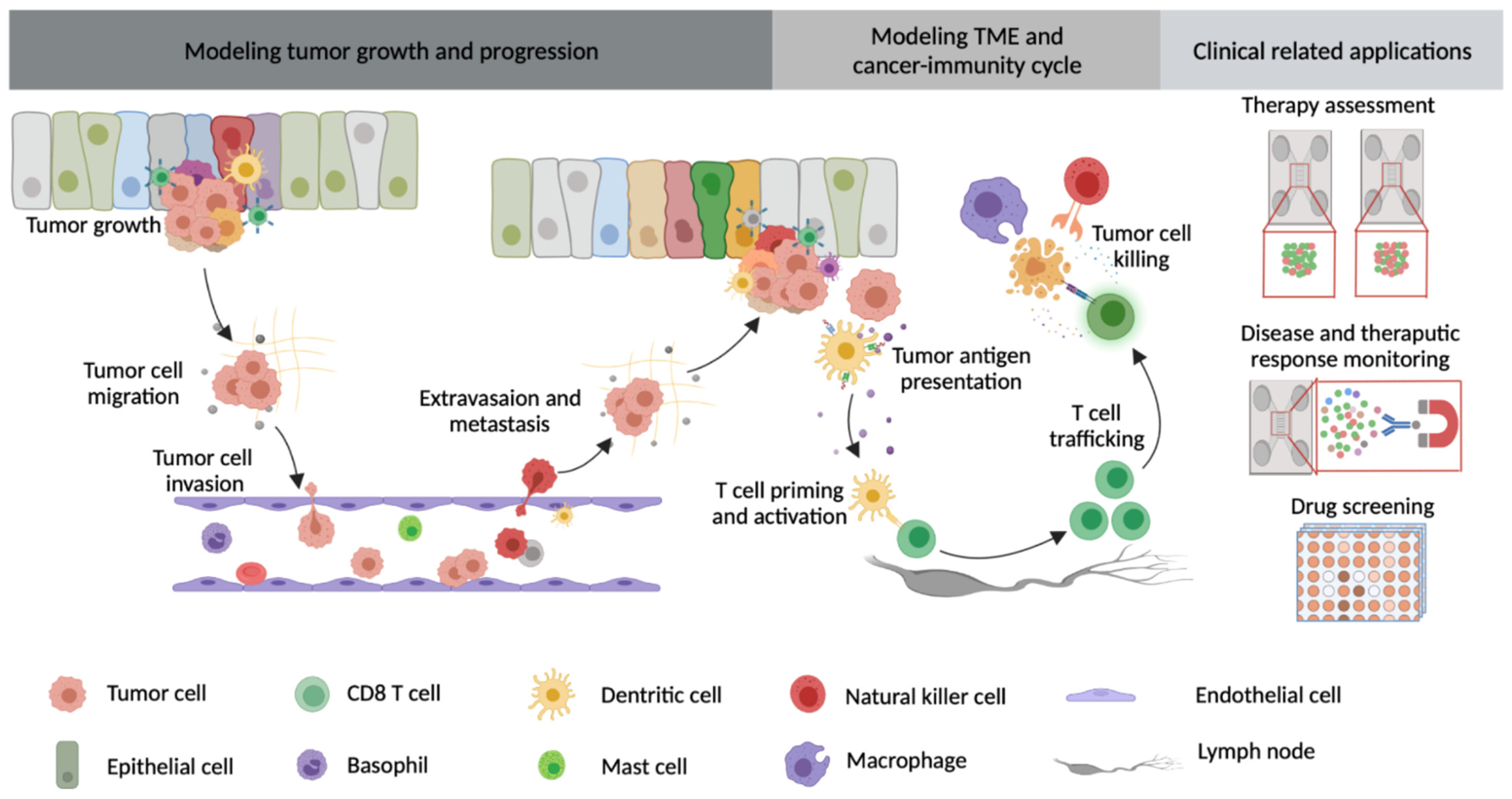 Cancers 13 06052 g001 550