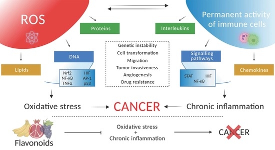 Cancers Free Full Text Therapeutic Influence On Important Targets Associated With Chronic Inflammation And Oxidative Stress In Cancer Treatment Html