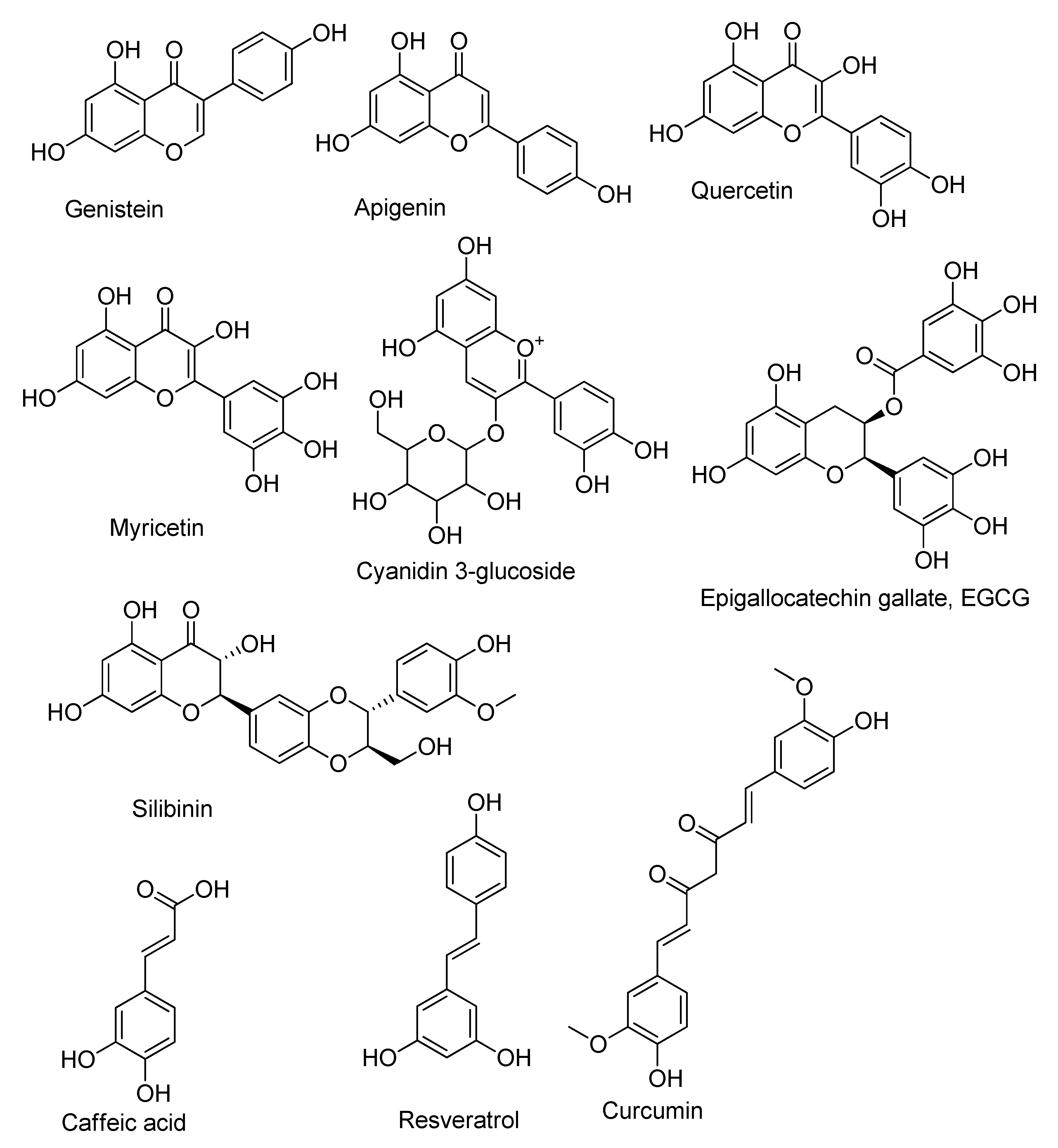 Chronic bacterial prostatitis wiki Tartalomjegyzék