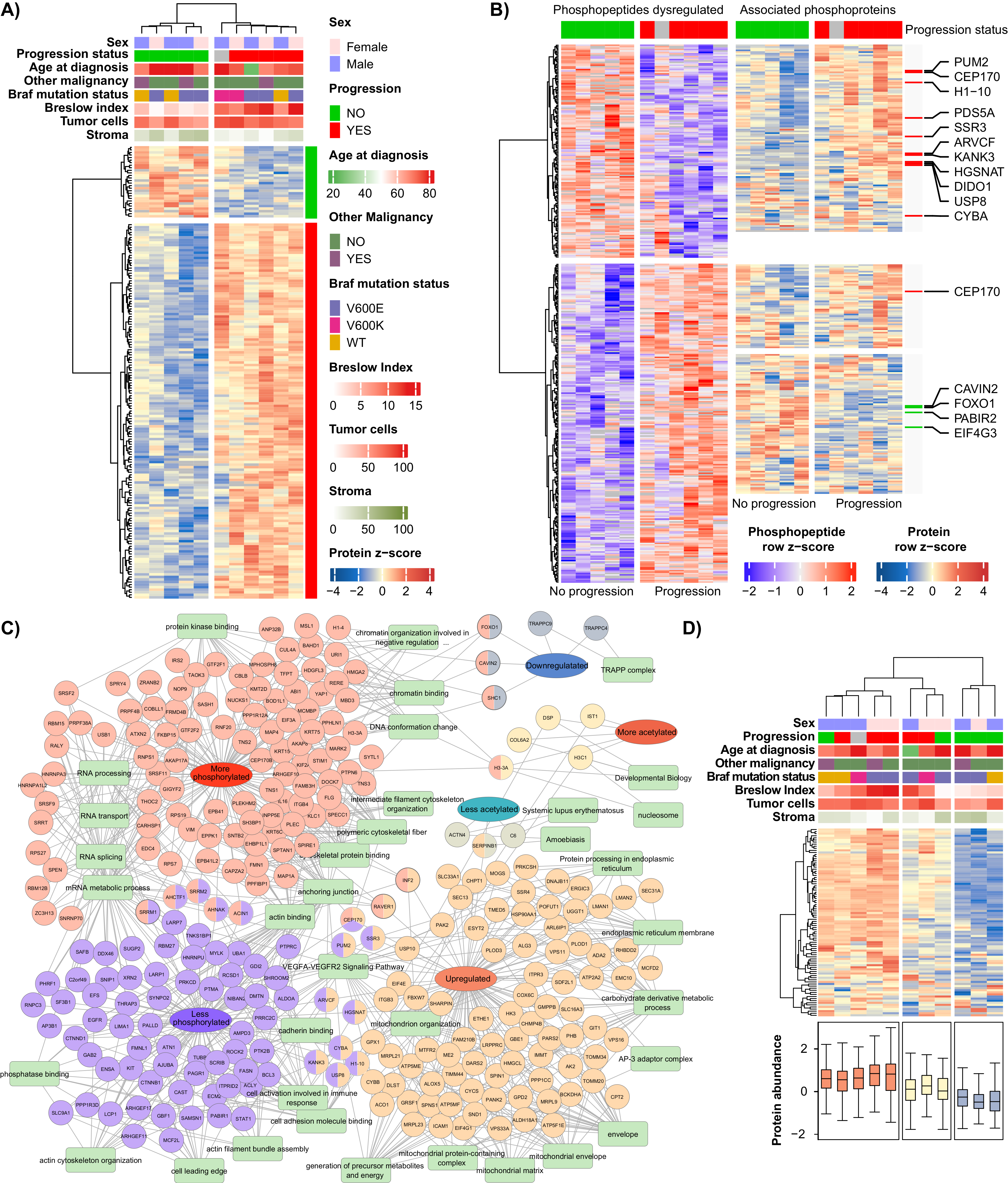 Cancers 13 06066 g004