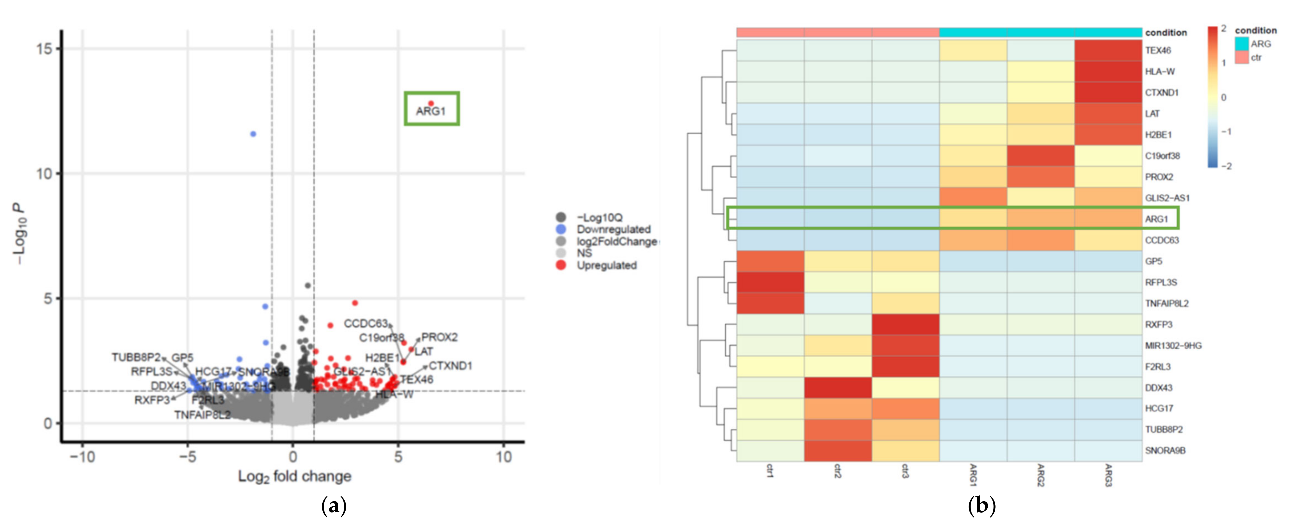 Cancers 13 06068 g004