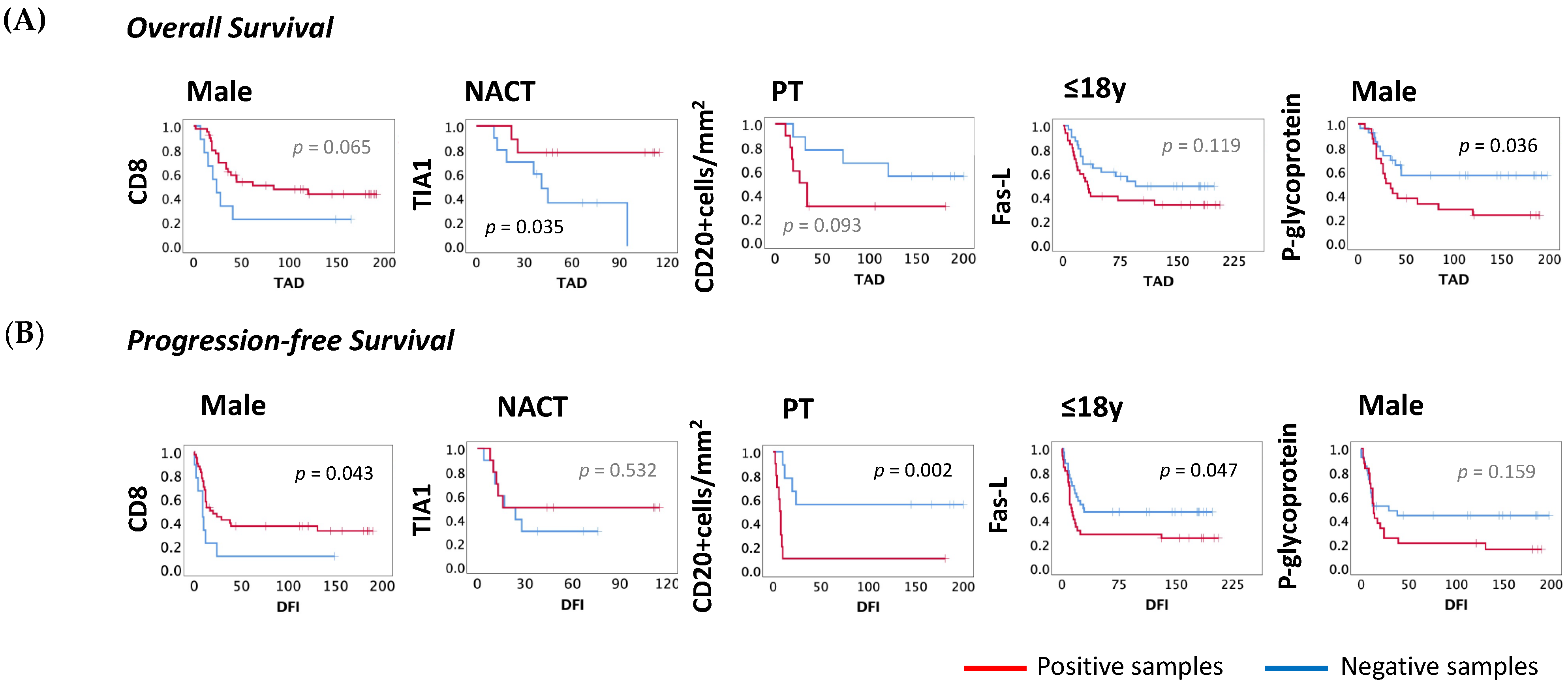 Cancers 13 06075 g007 Cancers 13 06075 g007