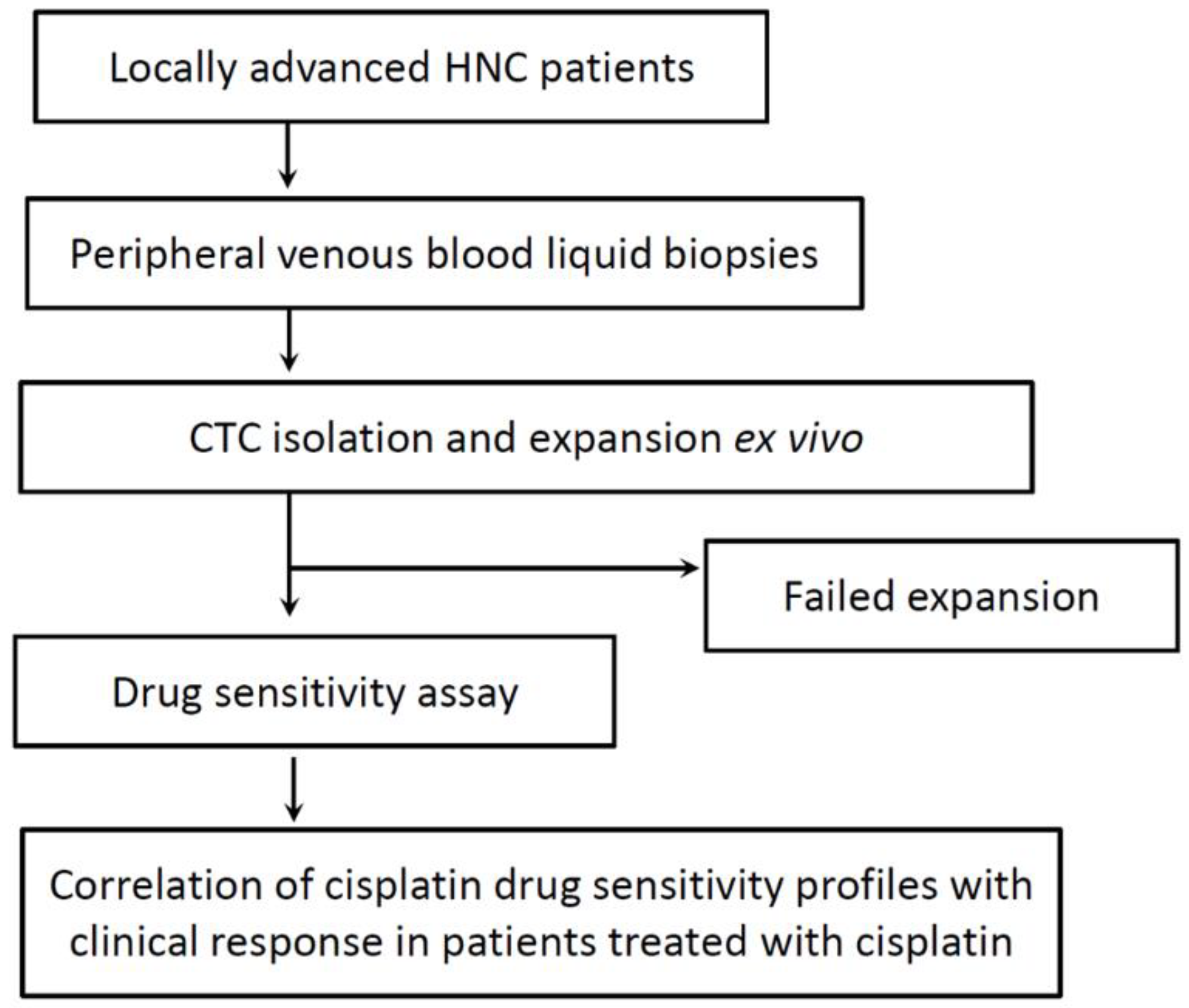 Cancers 13 06076 g001