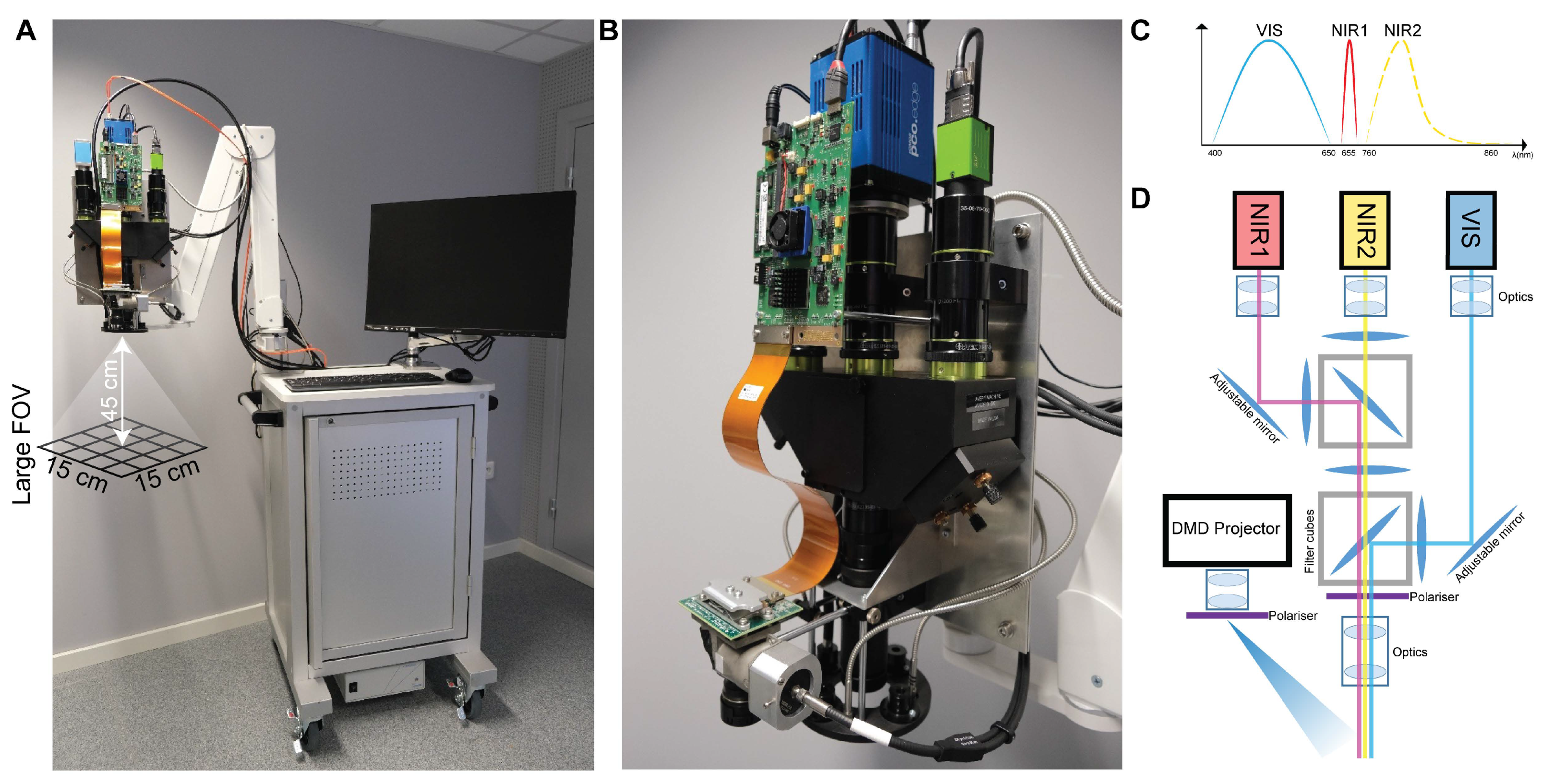 Cancers 13 06079 g002 550