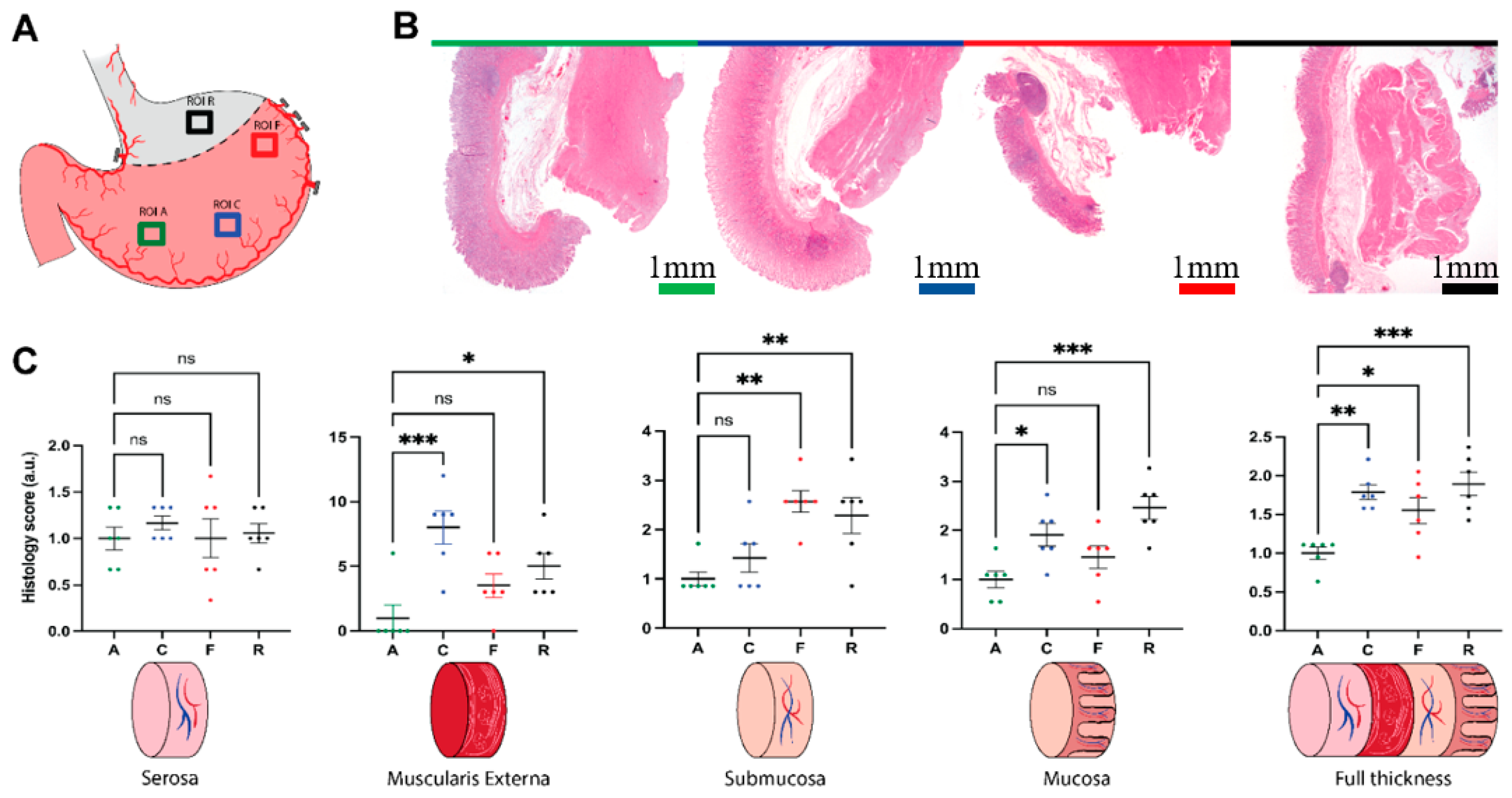 Cancers 13 06079 g003 550