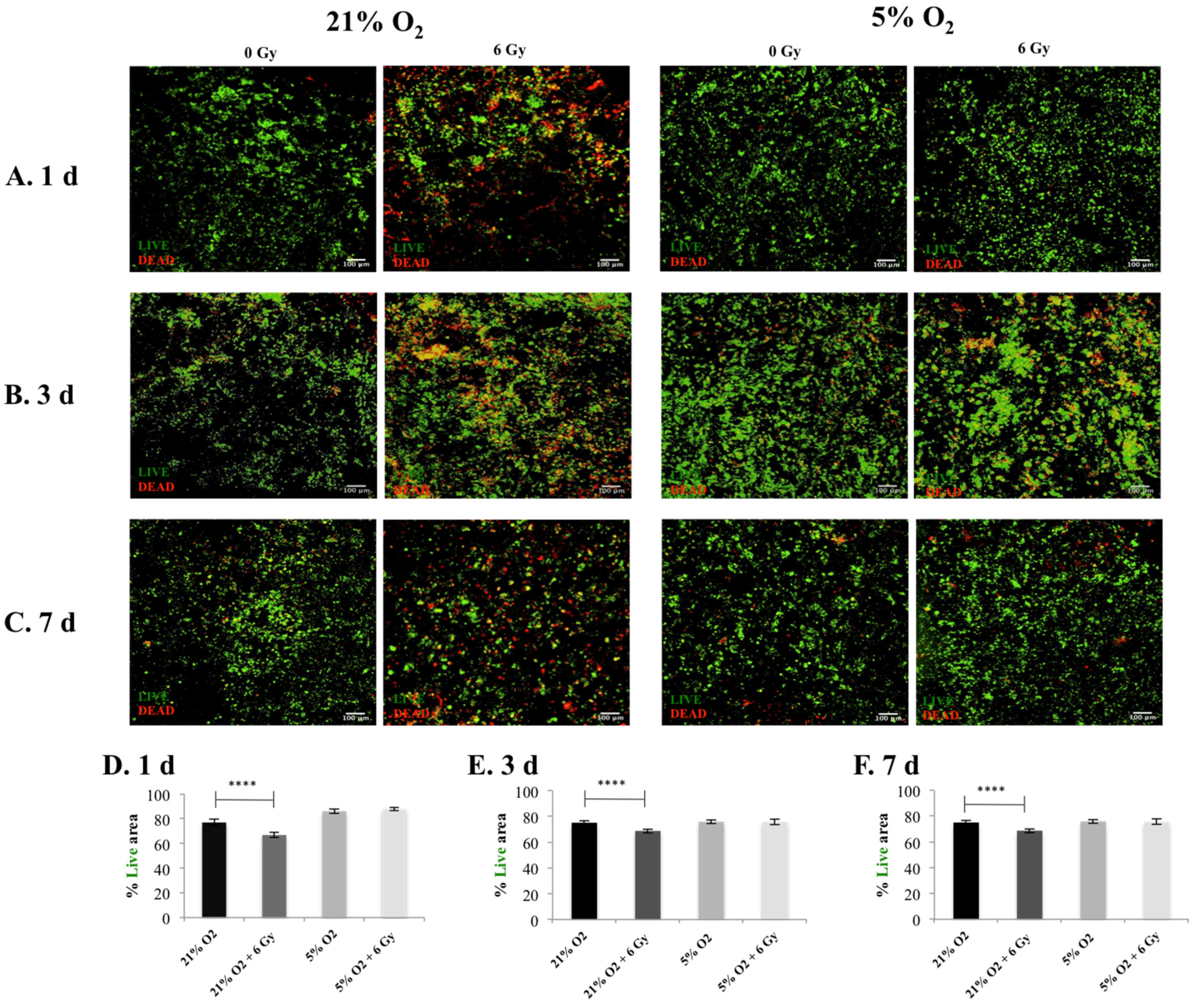 Cancers 13 06080 g002 550