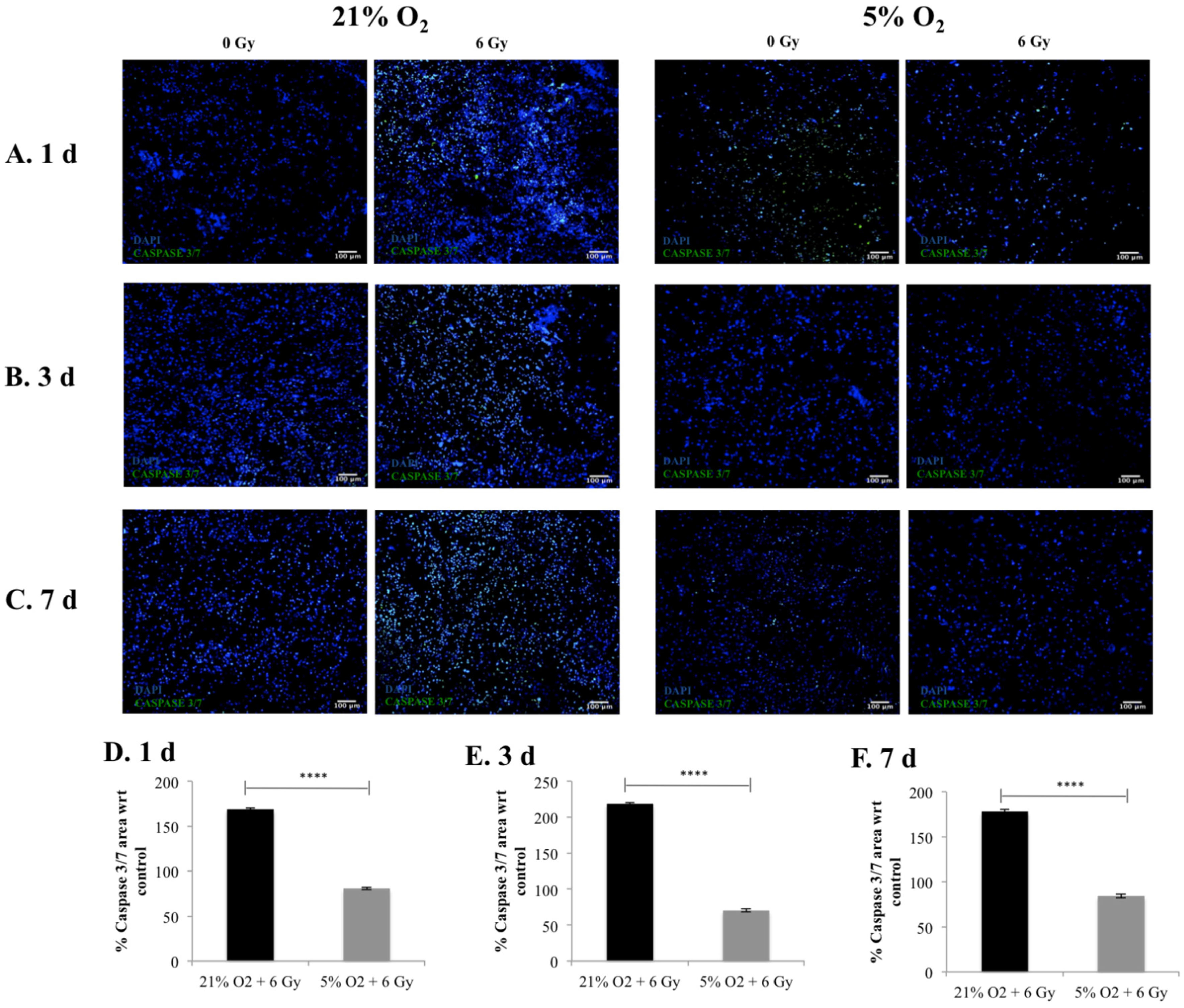 Cancers 13 06080 g003 550