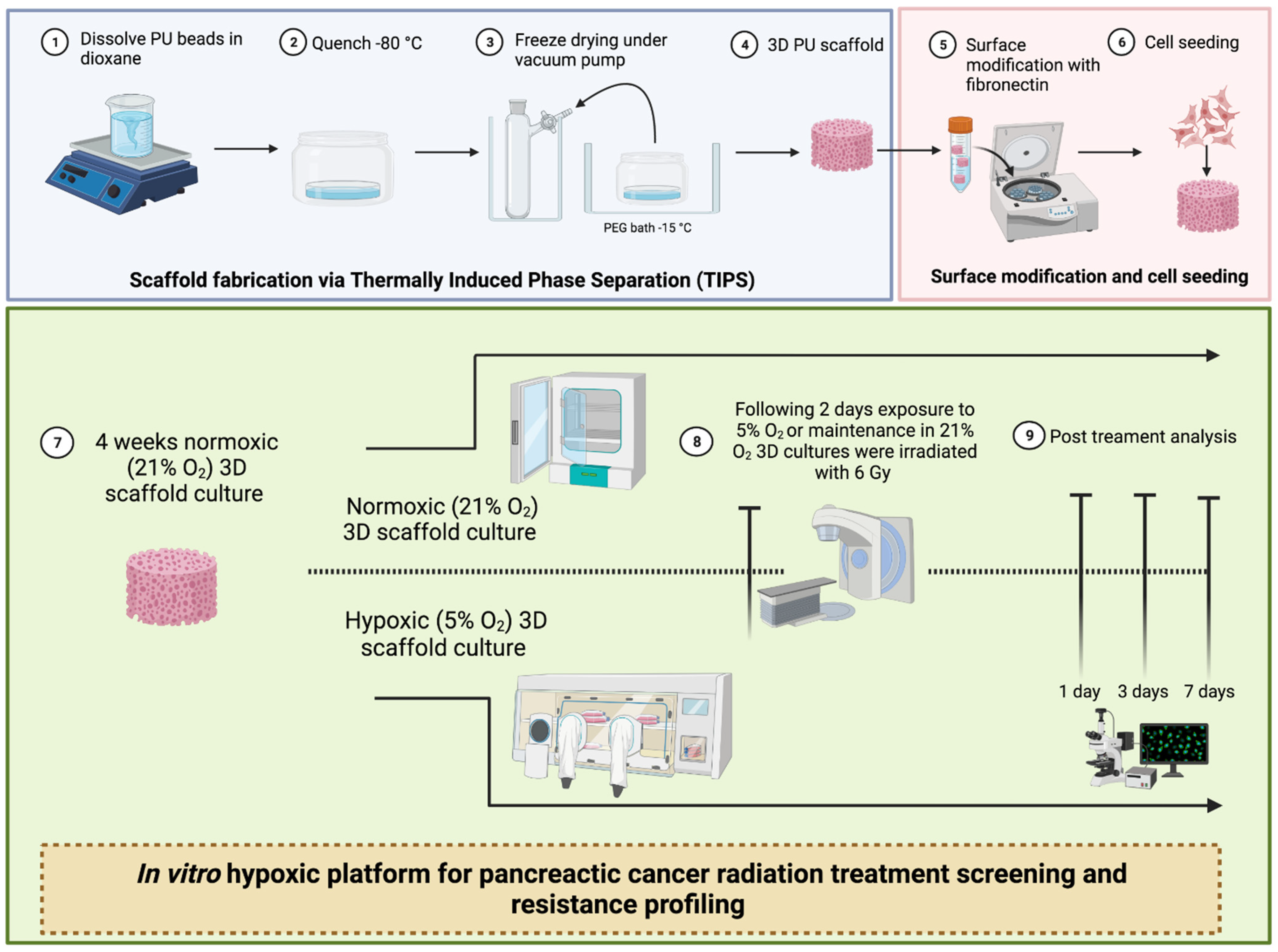 Cancers 13 06080 g0a1 550