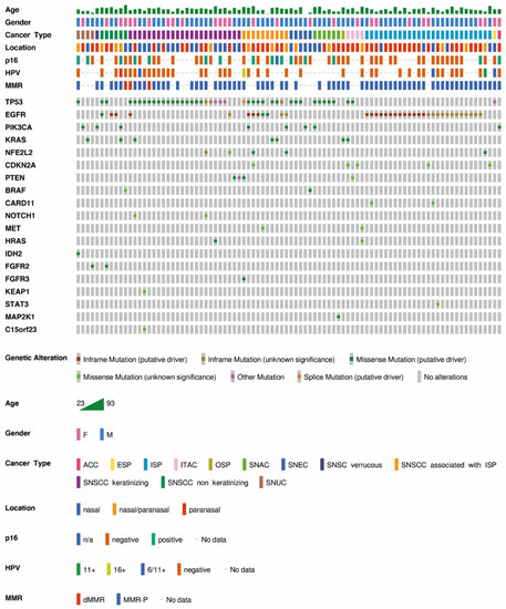 Cancers | Free Full-Text | Mismatch Repair Deficiency And Somatic.