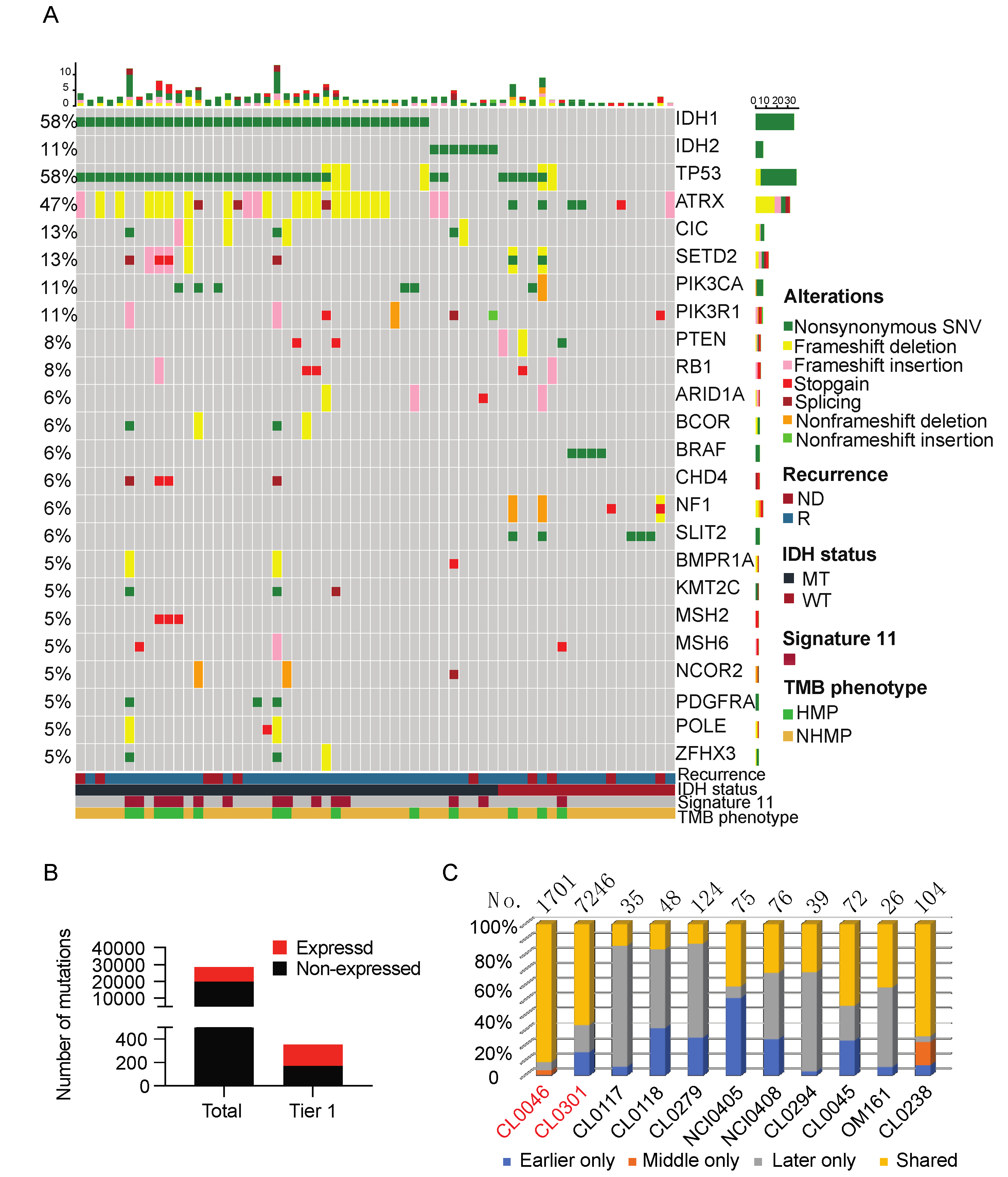 Cancers 13 06092 g001 550