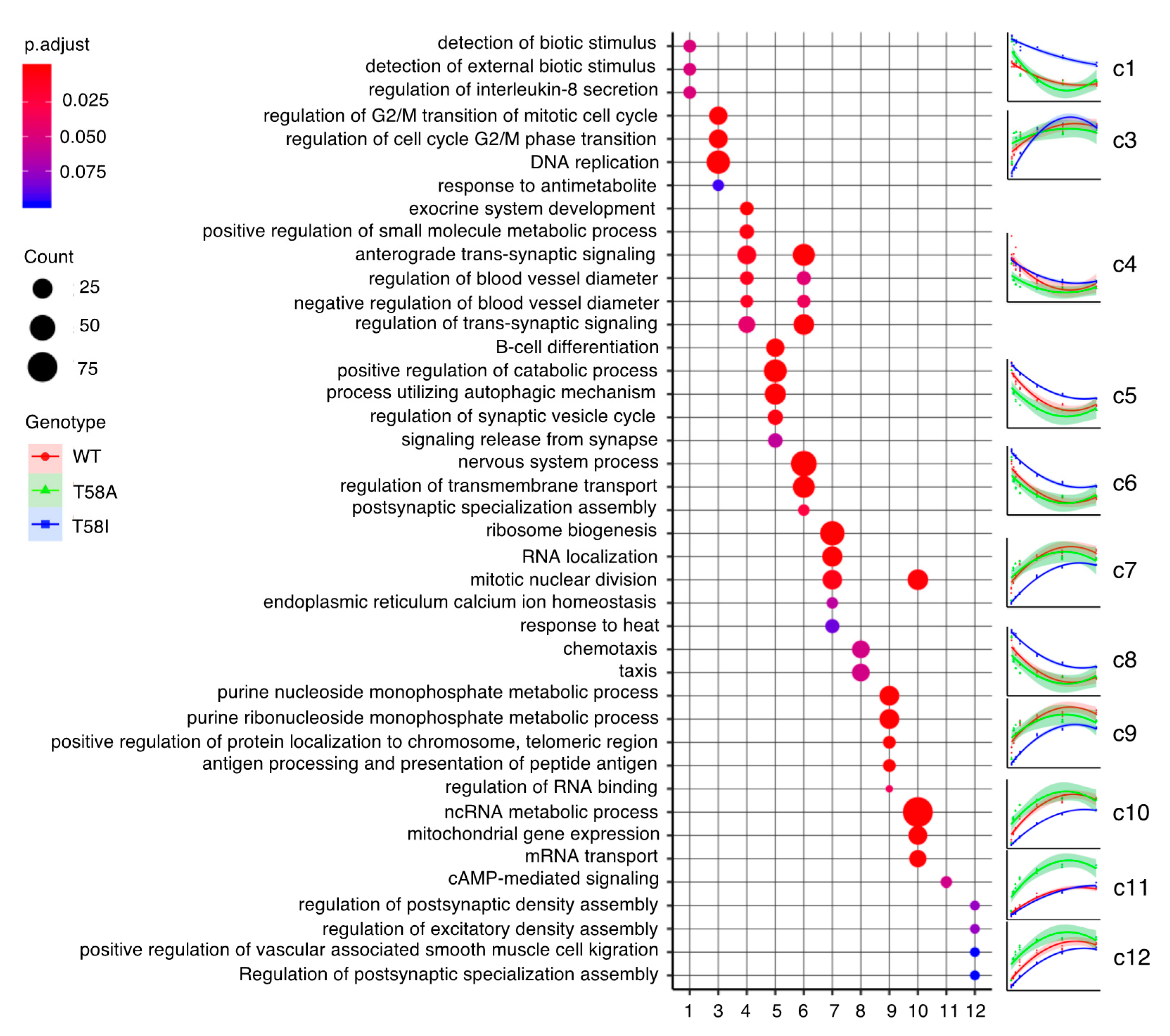 Cancers 13 06093 g004