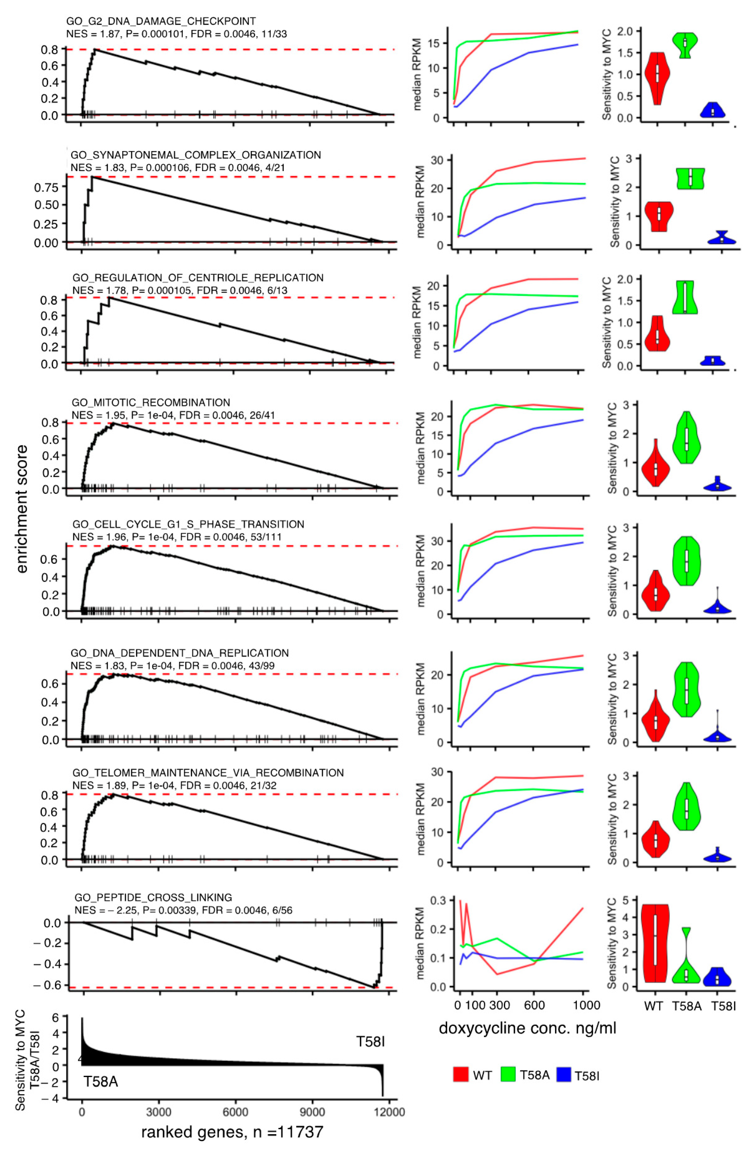 Cancers 13 06093 g007