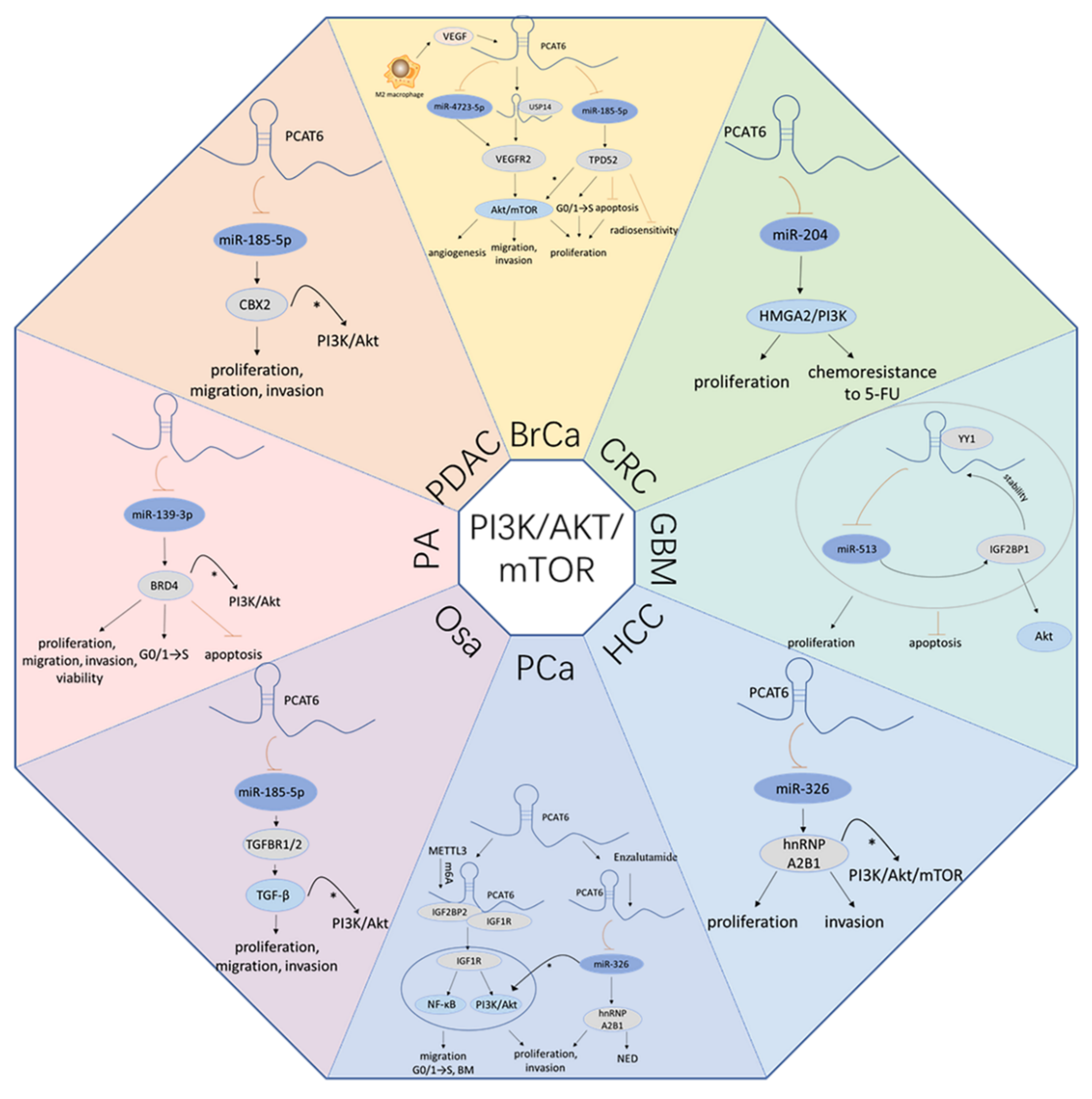 Cancers 13 06101 g002