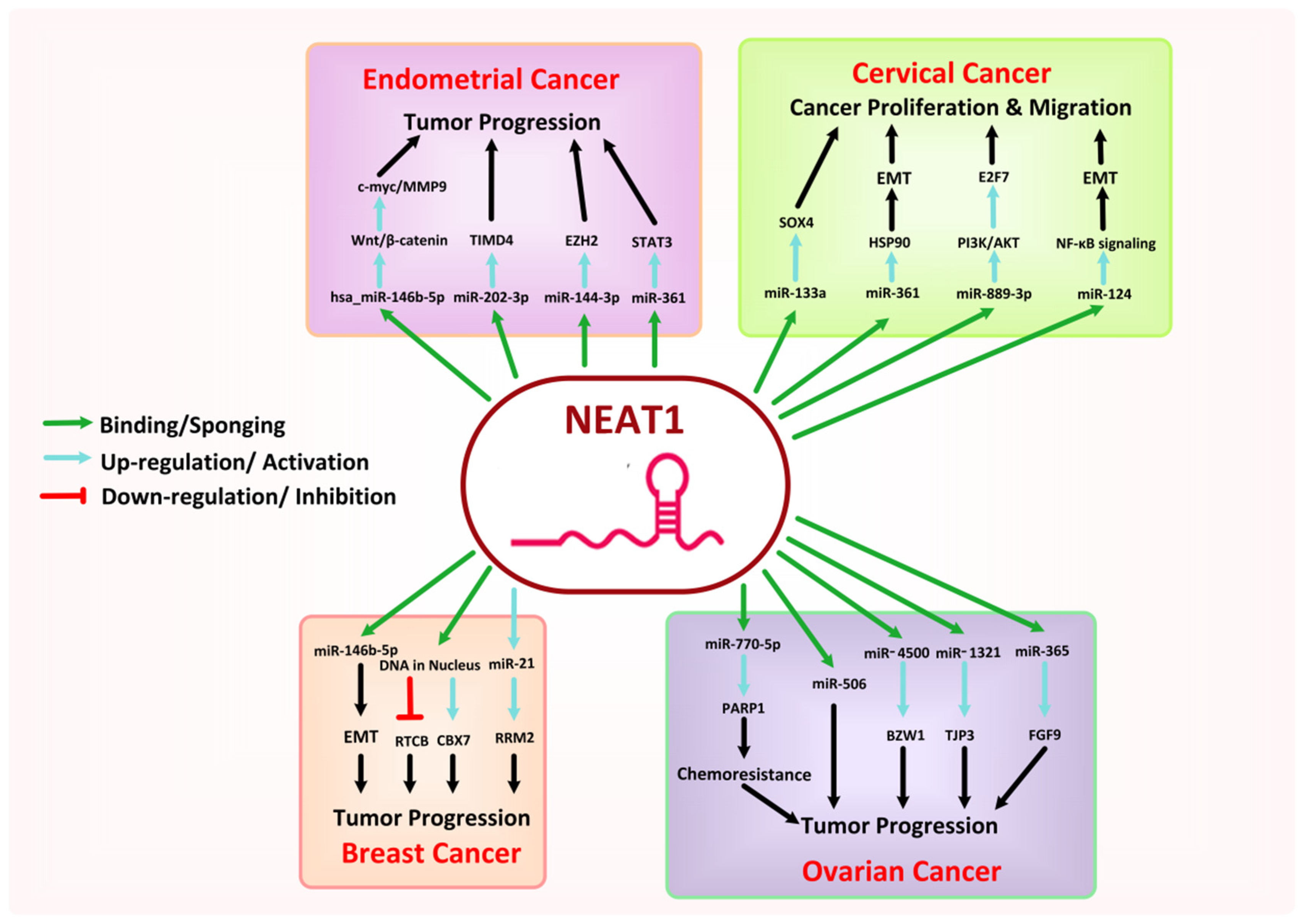 Cancers 13 06102 g005 Cancers 13 06102 g005