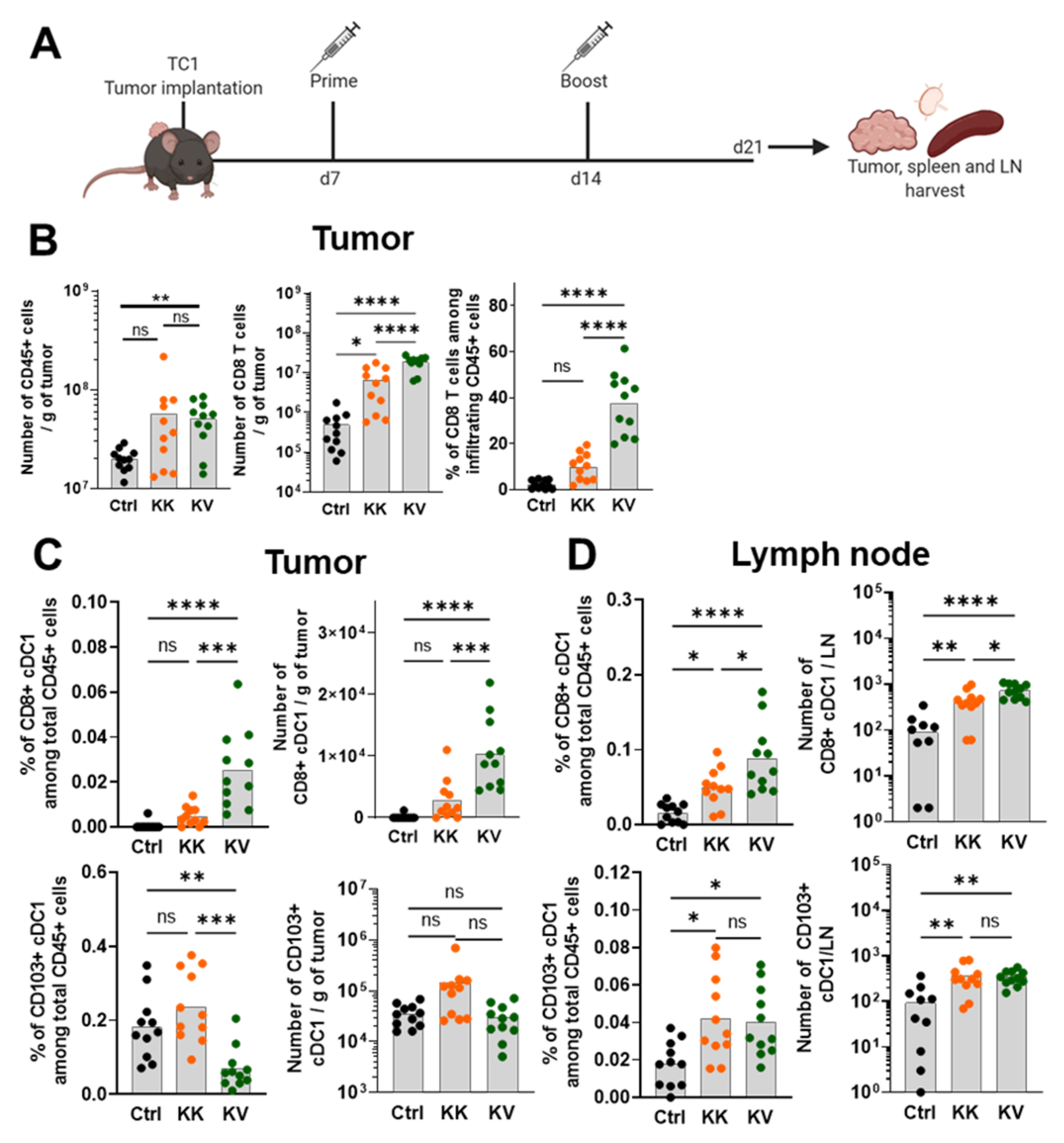 Cancers 13 06107 g001