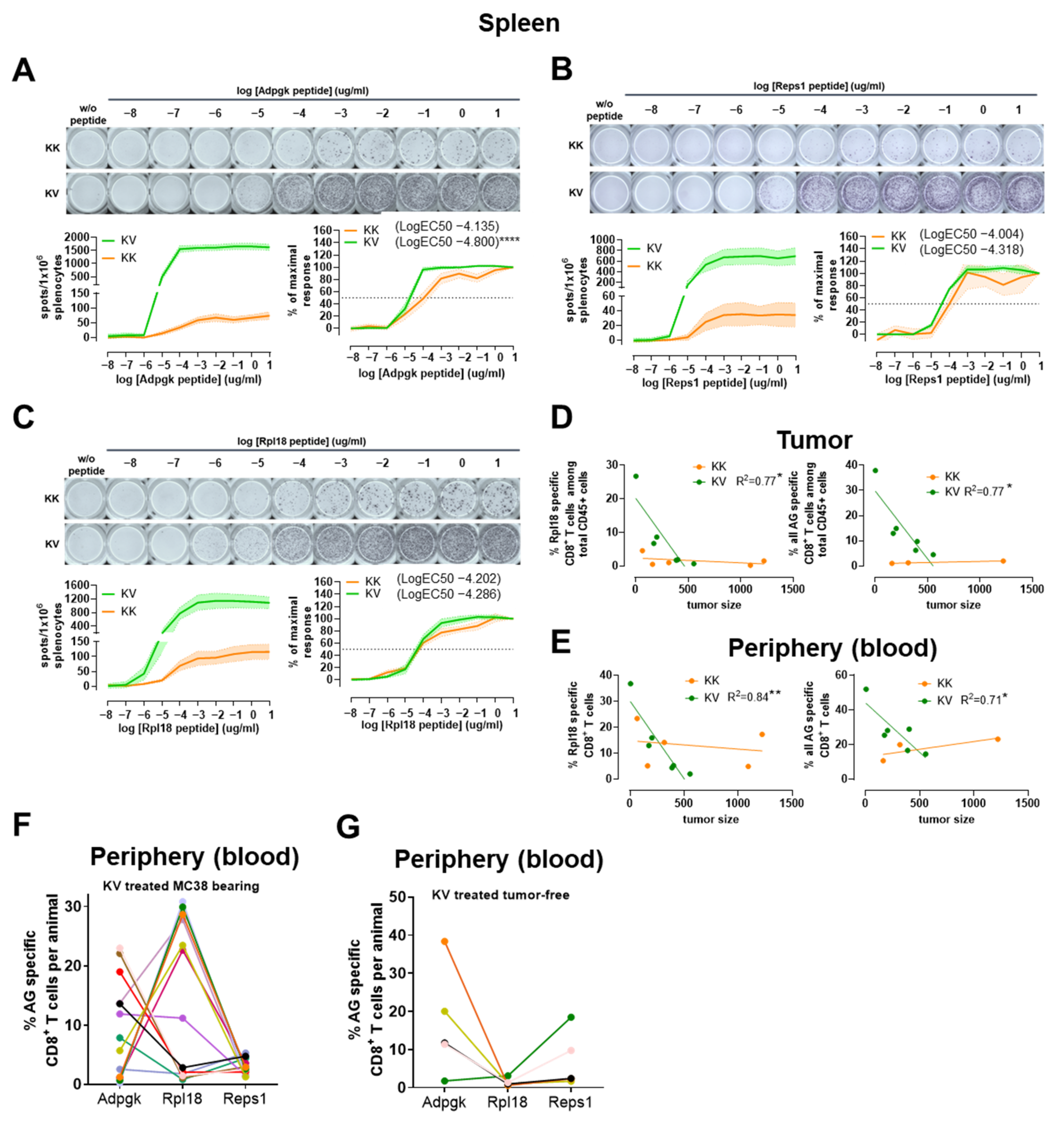 Cancers 13 06107 g006