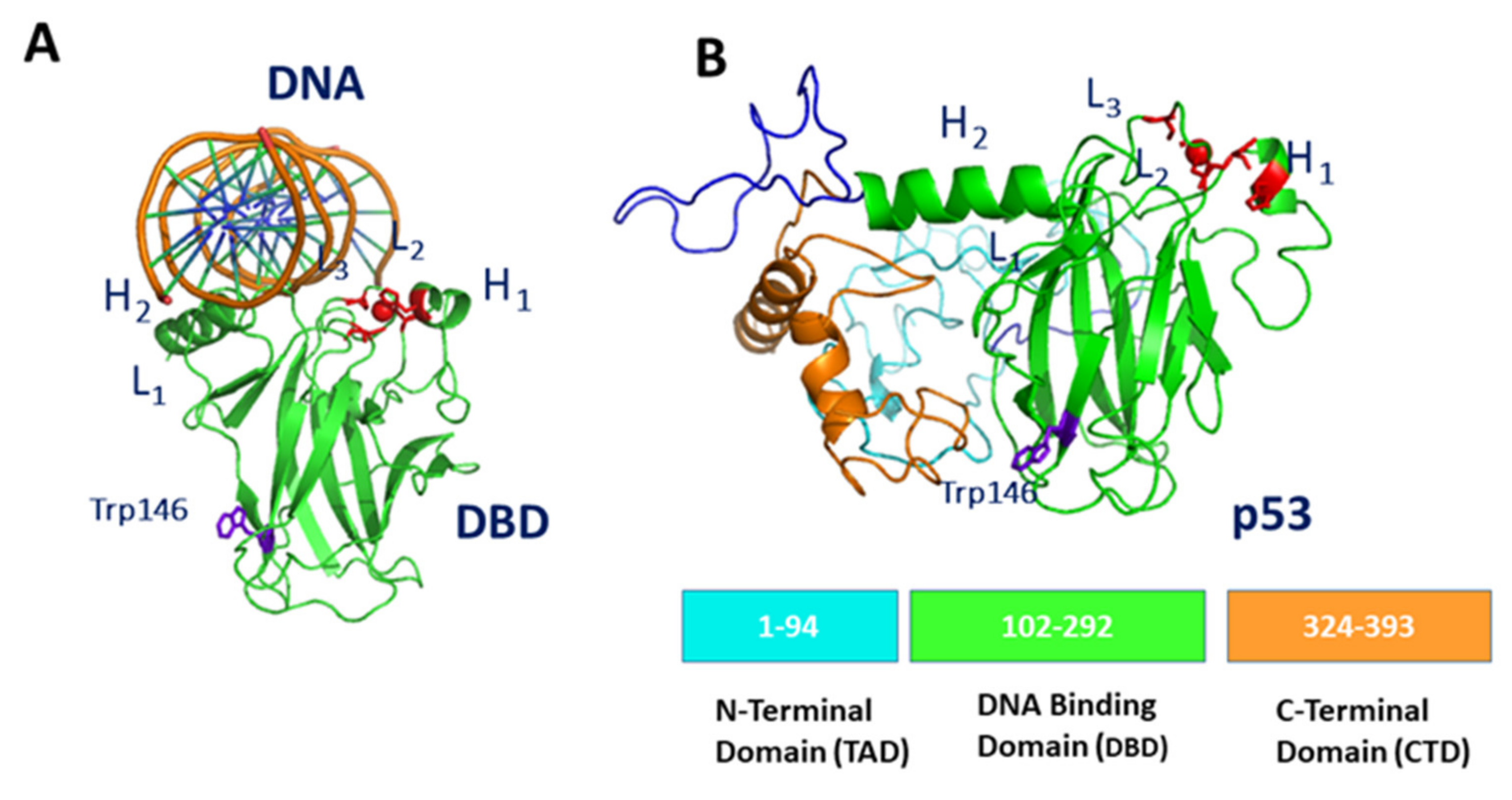 Cancers 13 06108 g001