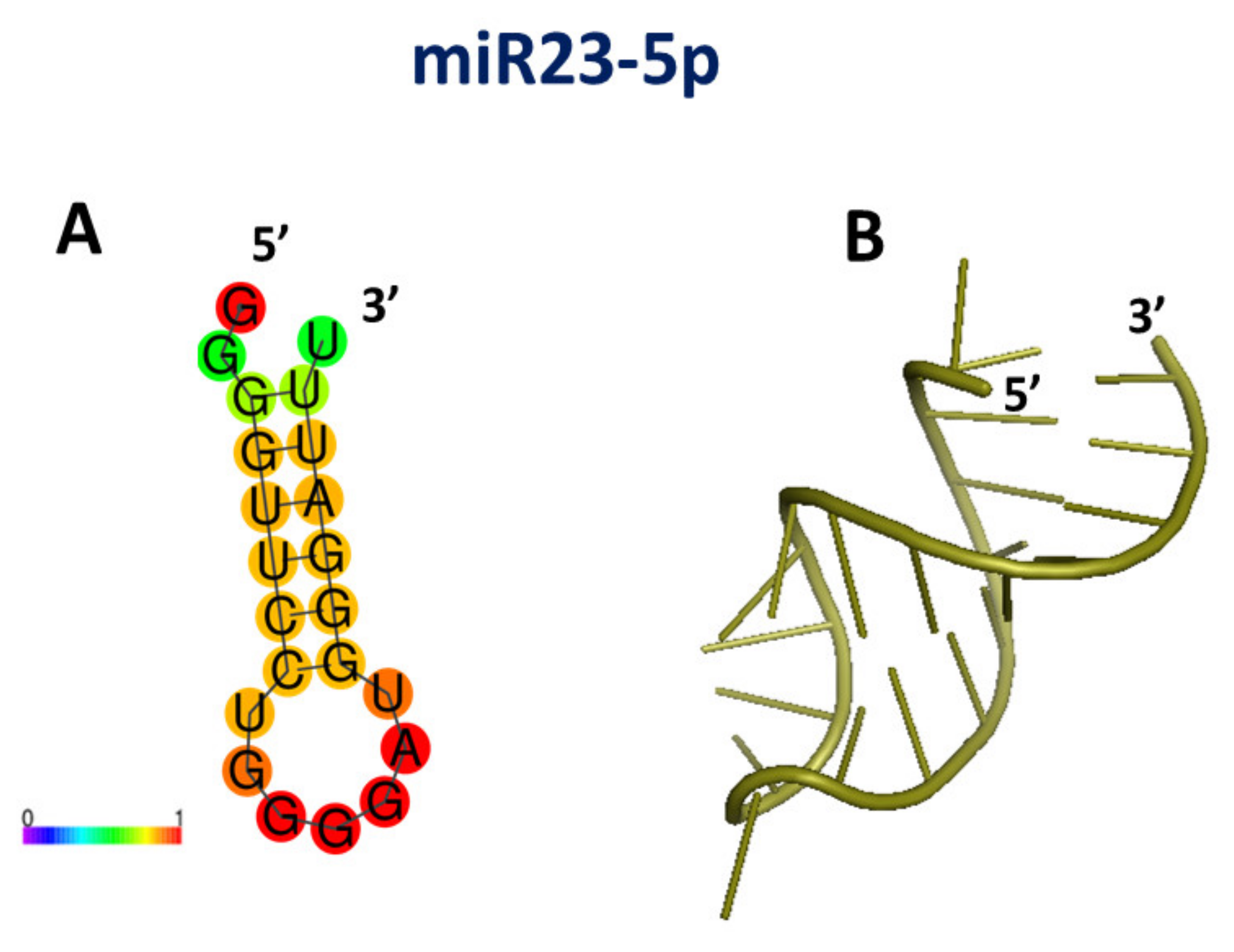 Cancers 13 06108 g008