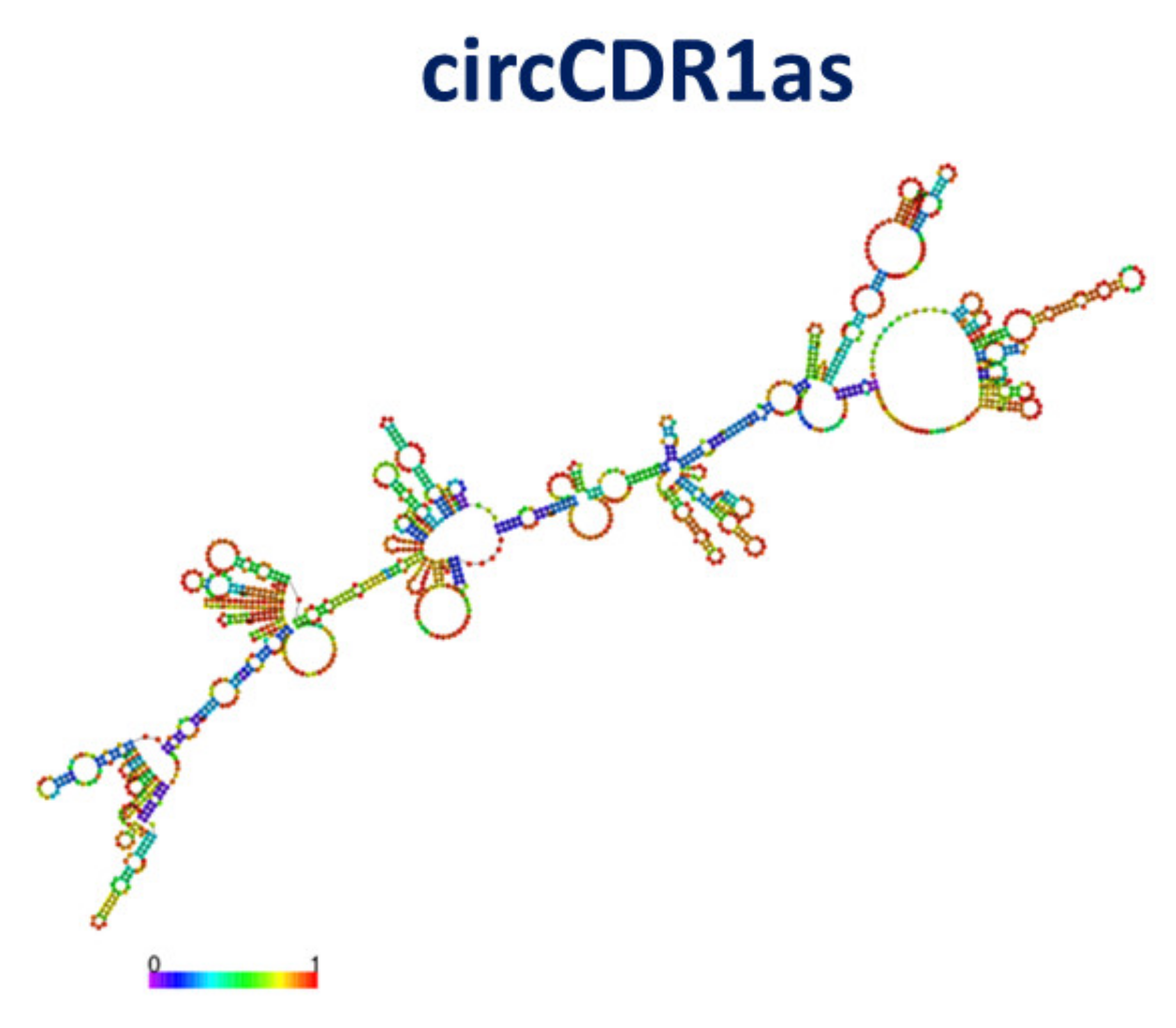 Cancers 13 06108 g010