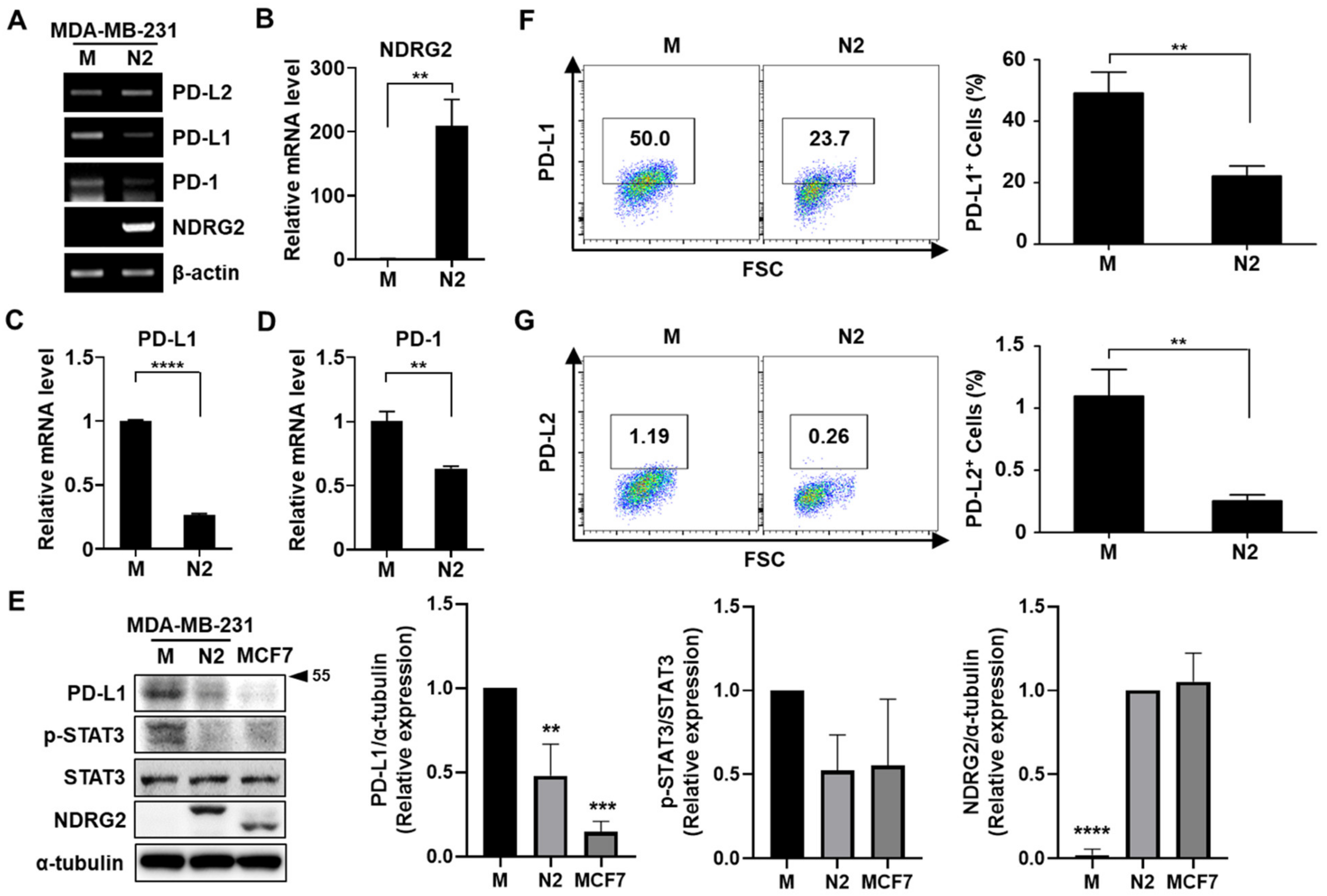 Cancers 13 06112 g001