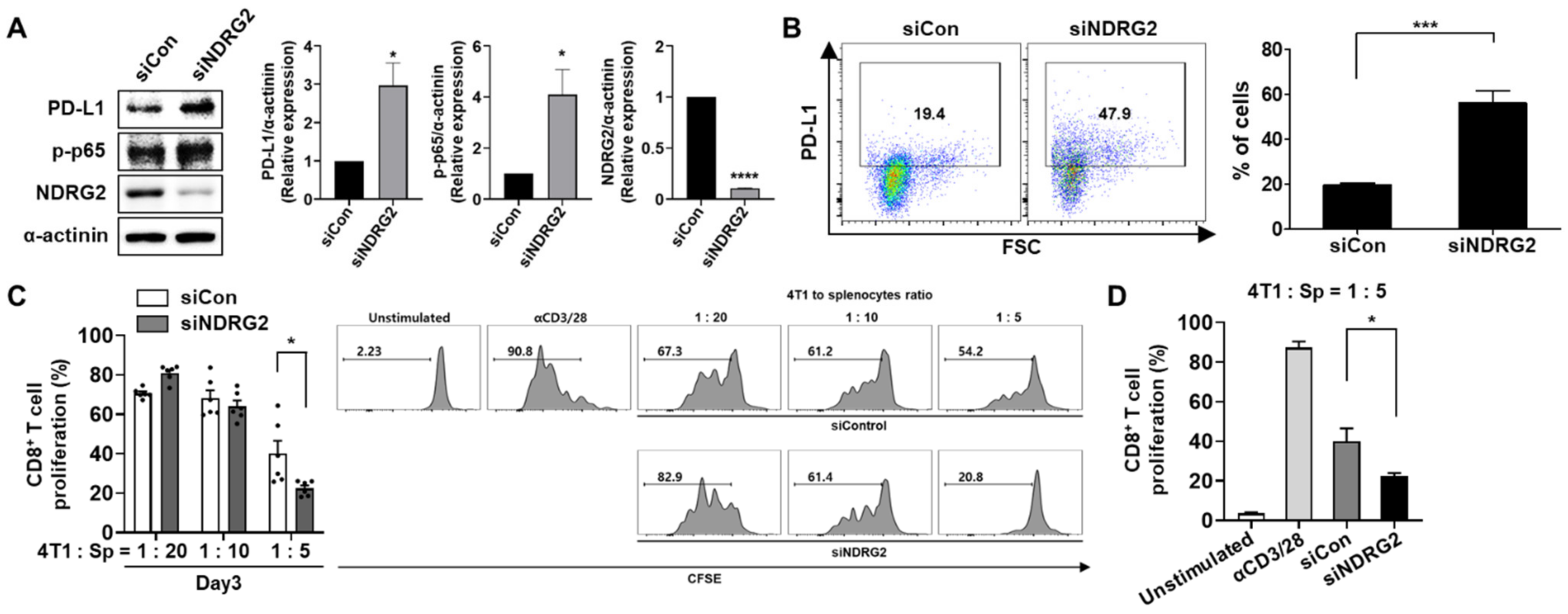 Cancers 13 06112 g005