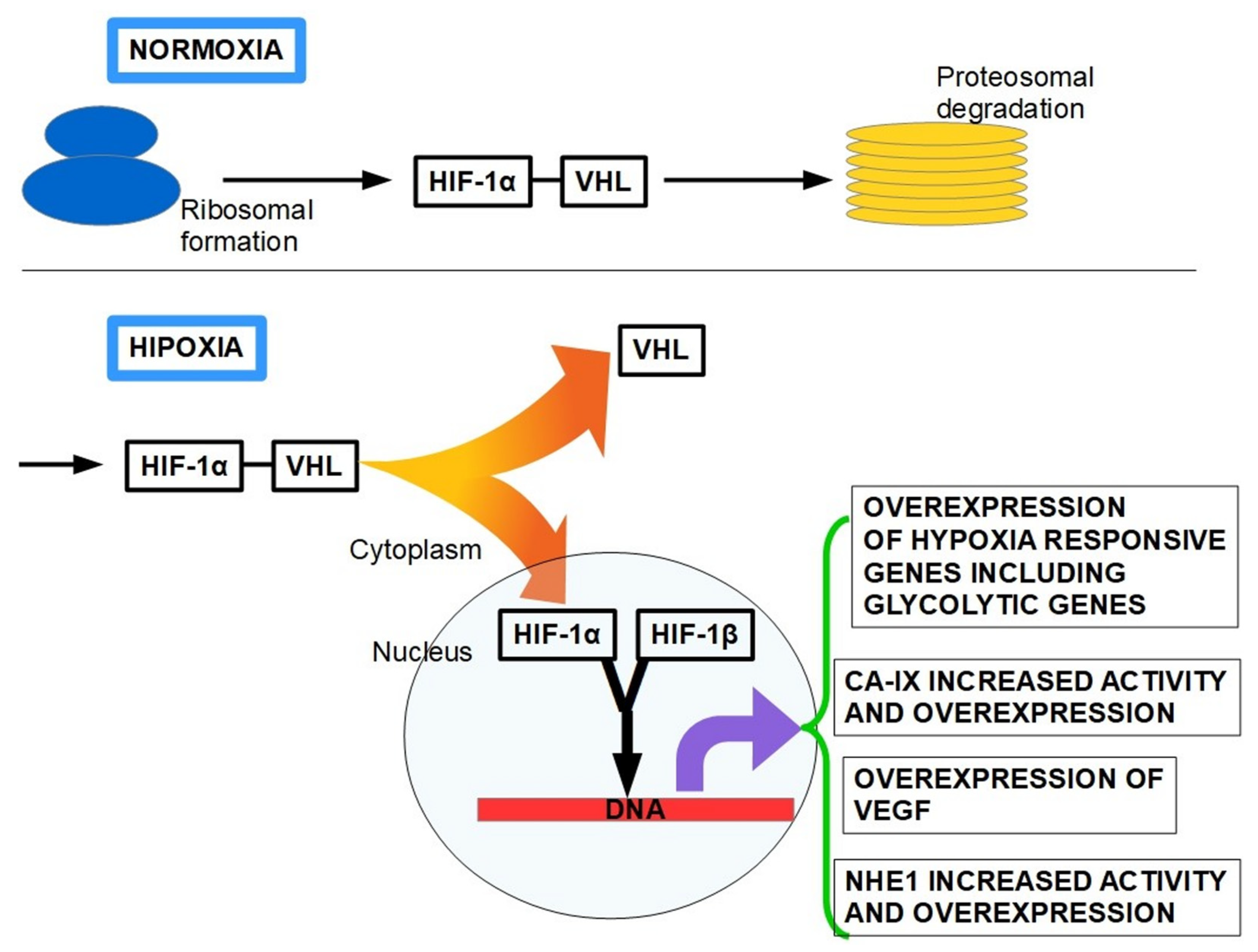 Tumor Microenvironment Features and Chemoresistance in