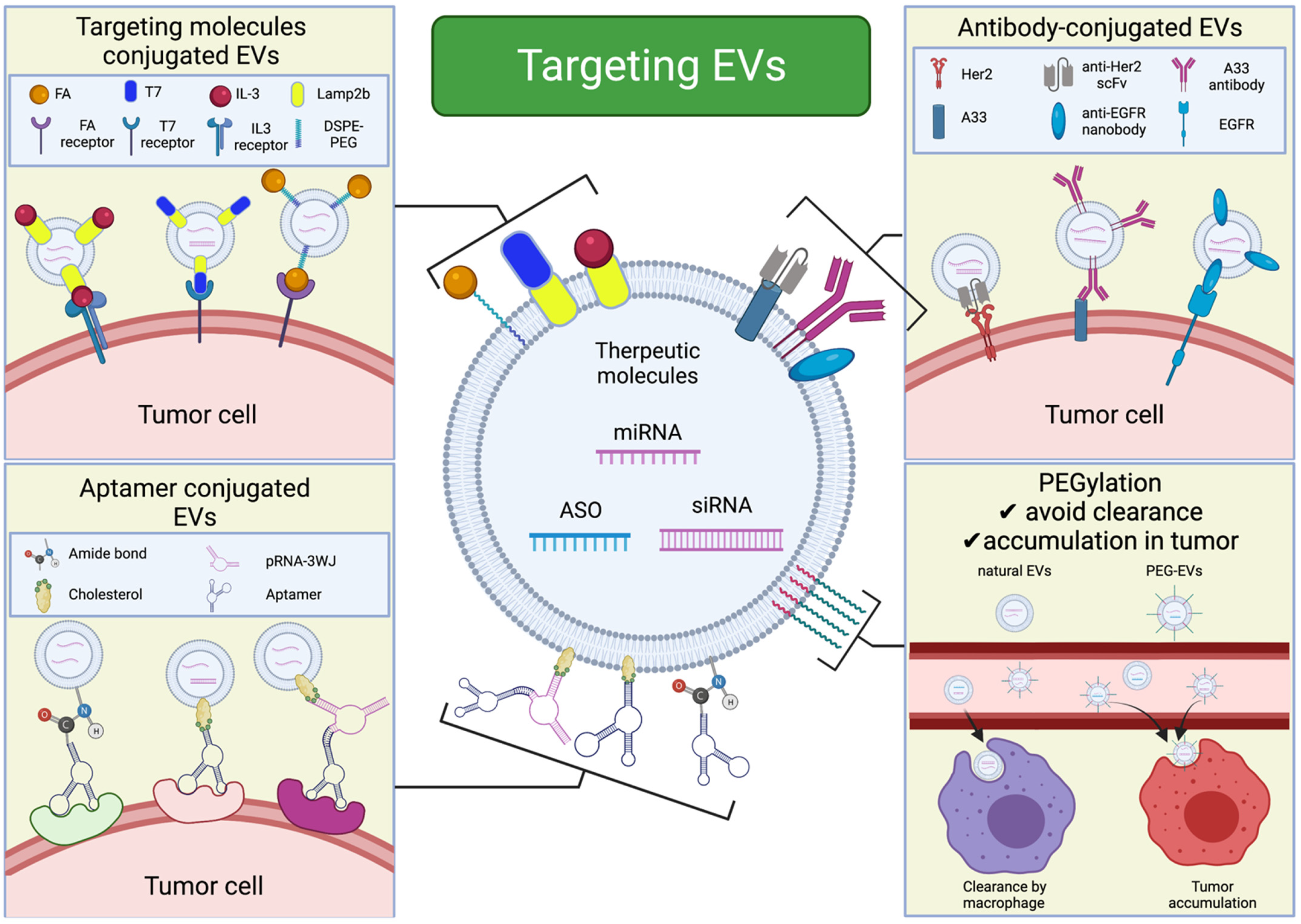 Cancers 13 06137 g003 550