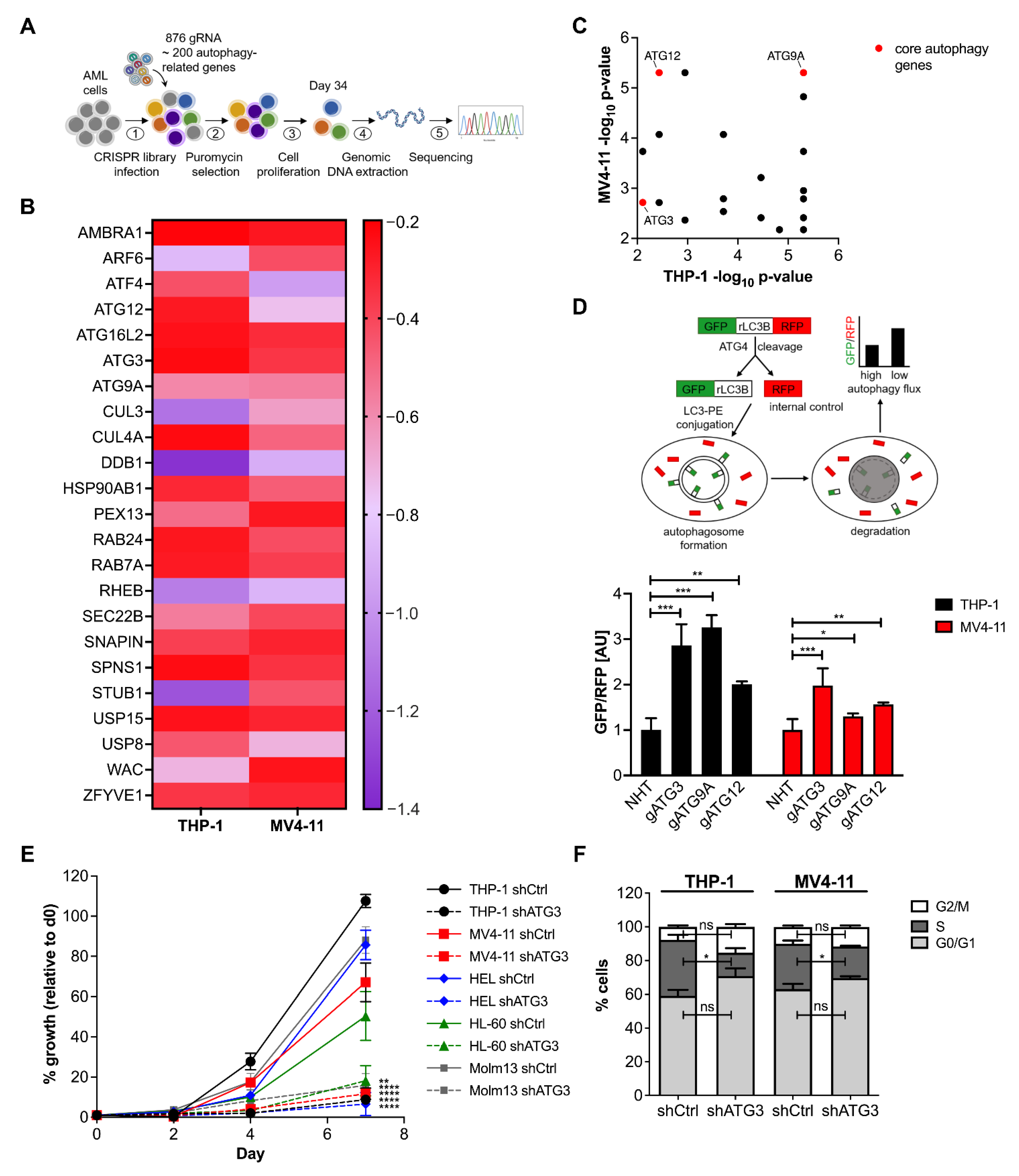 Cancers 13 06142 g001