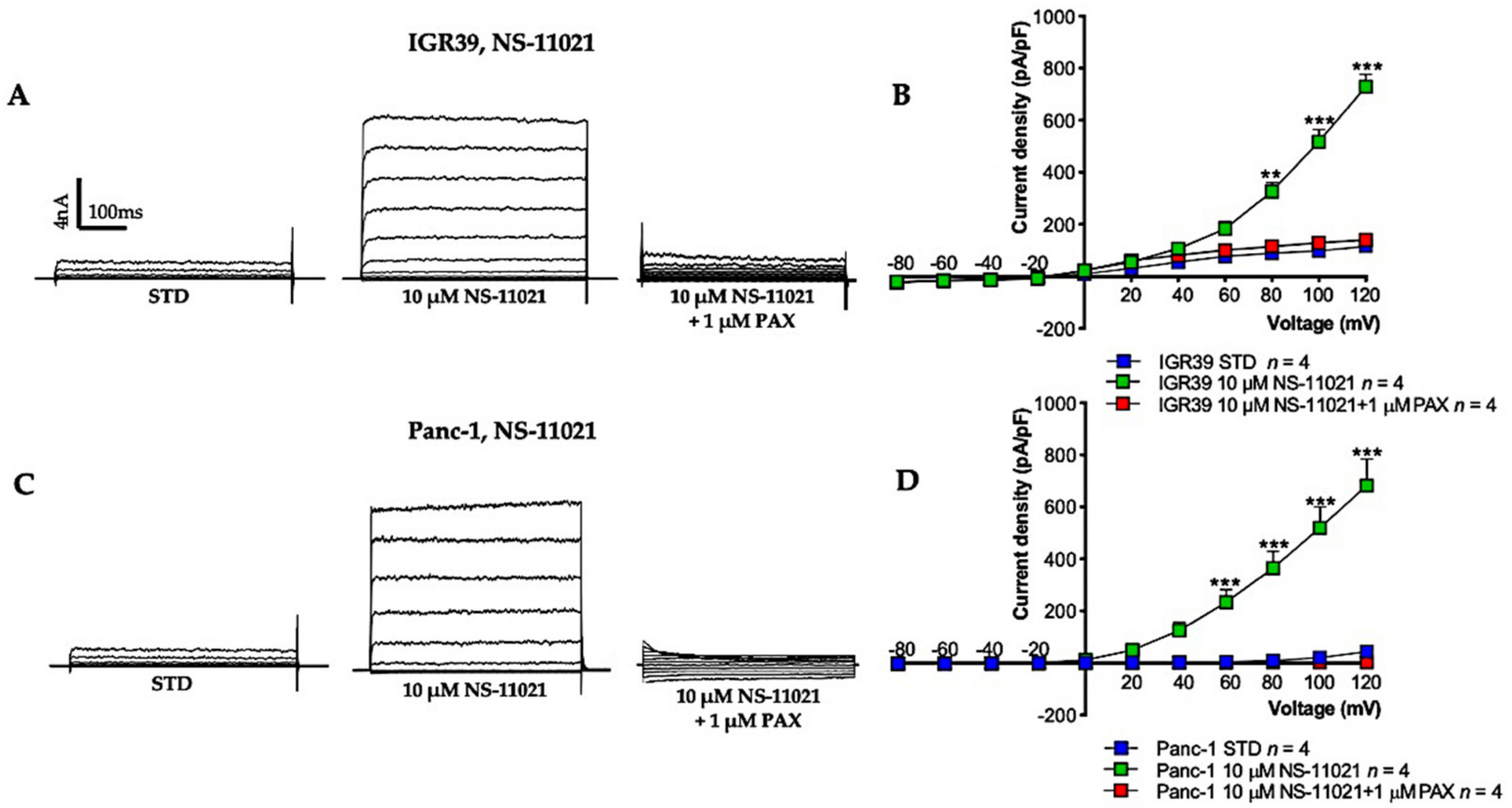 Cancers 13 06144 g002