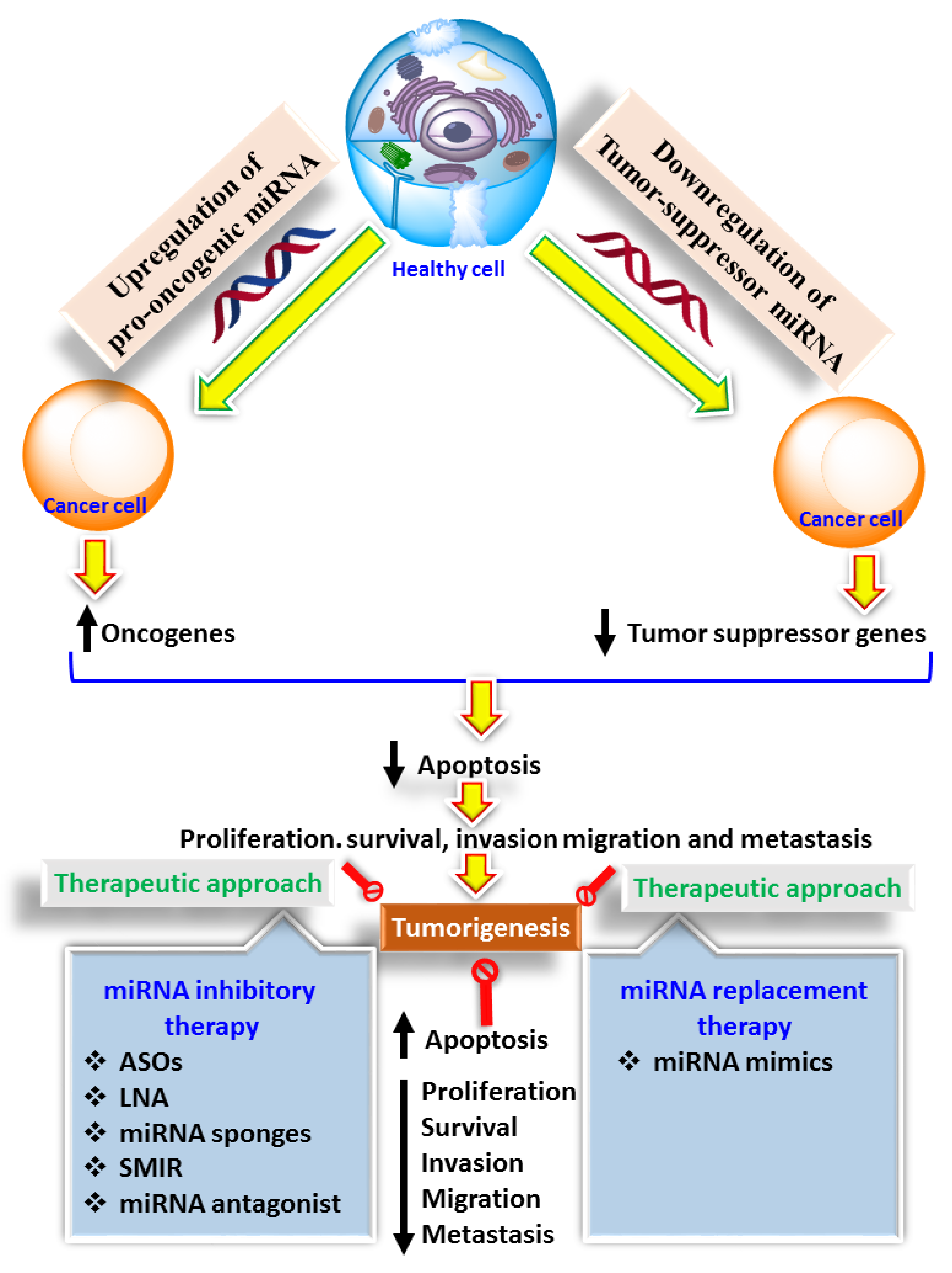Cancers 13 06145 g002 Cancers 13 06145 g002