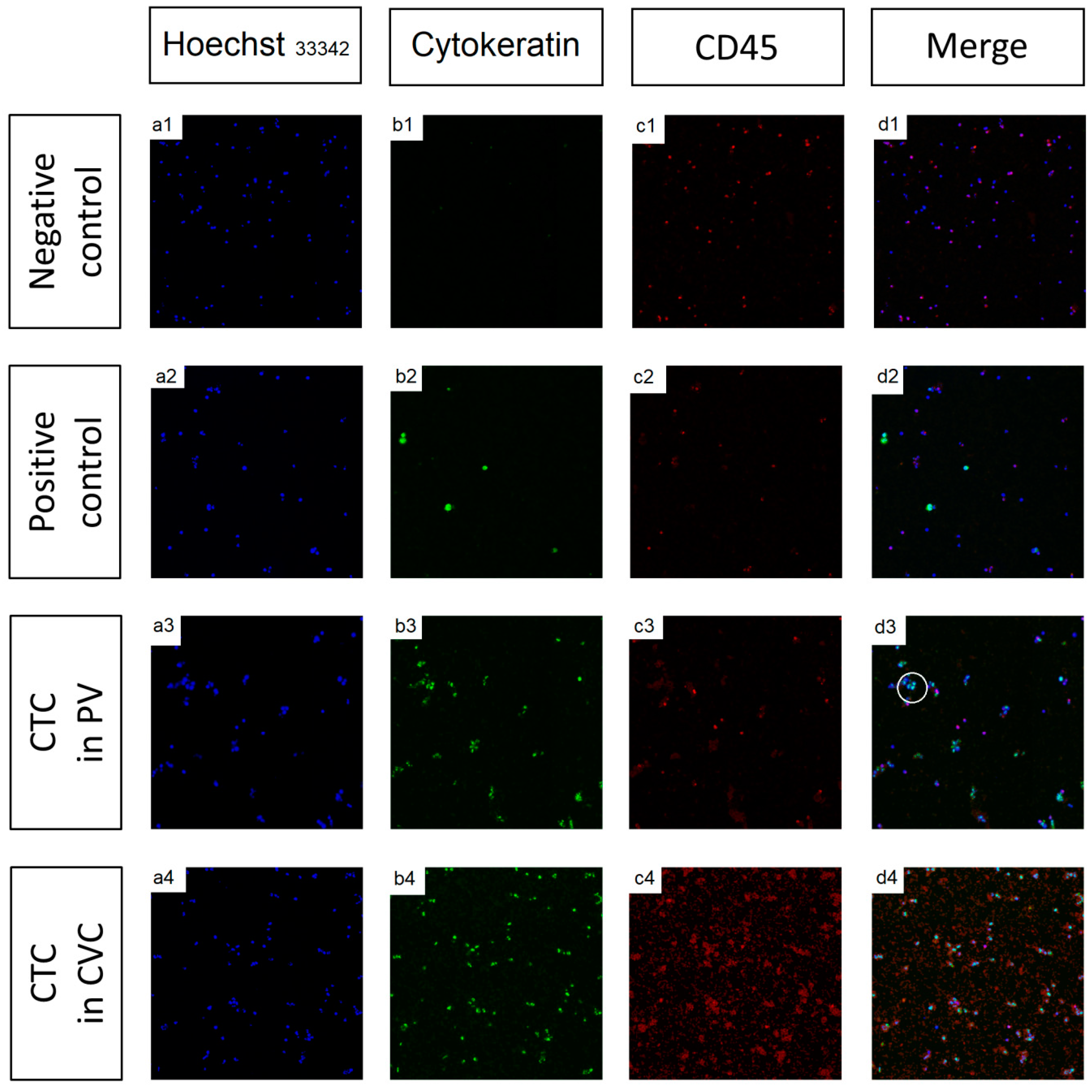 Cancers 13 06153 g001 550