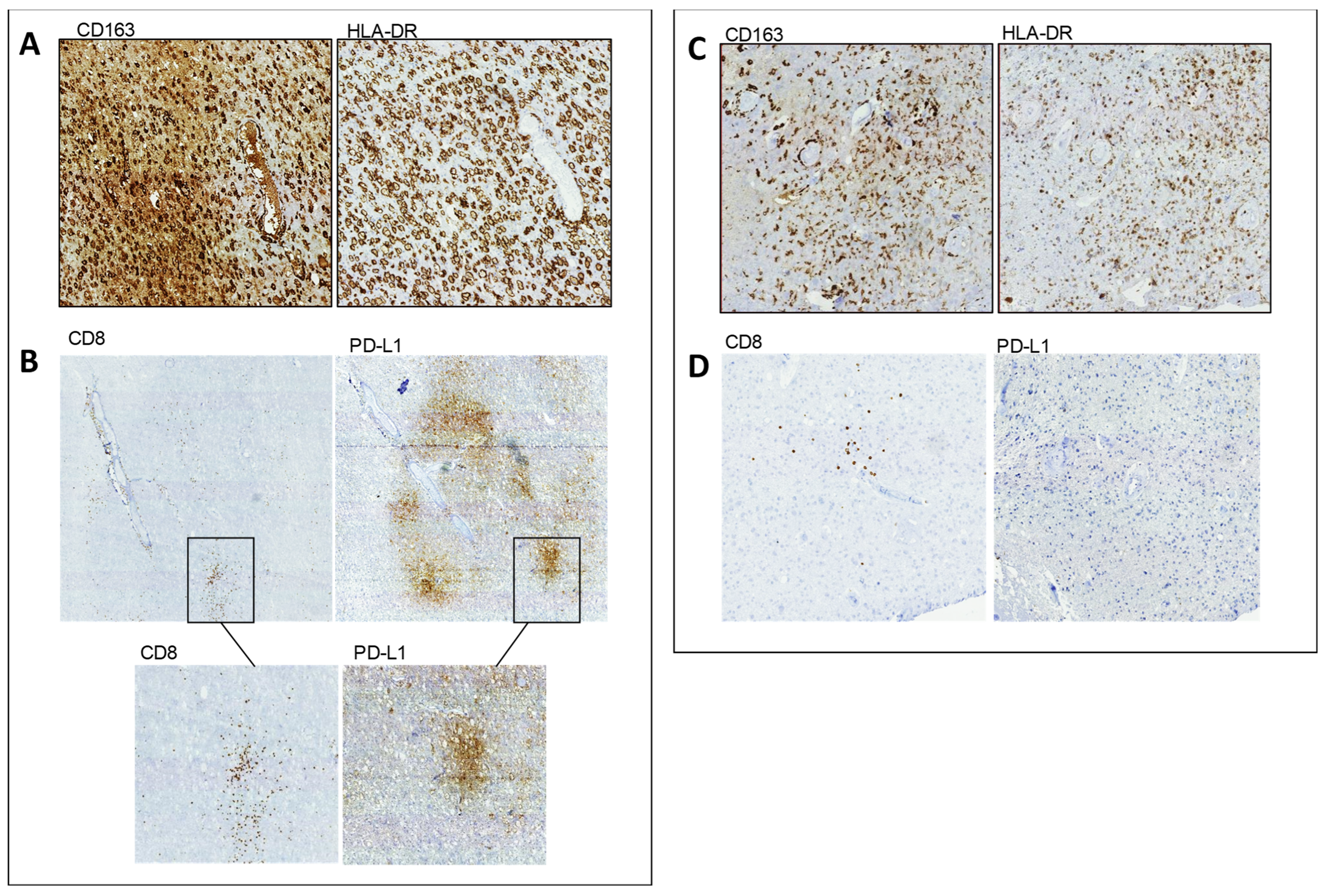 Cancers 13 06156 g001