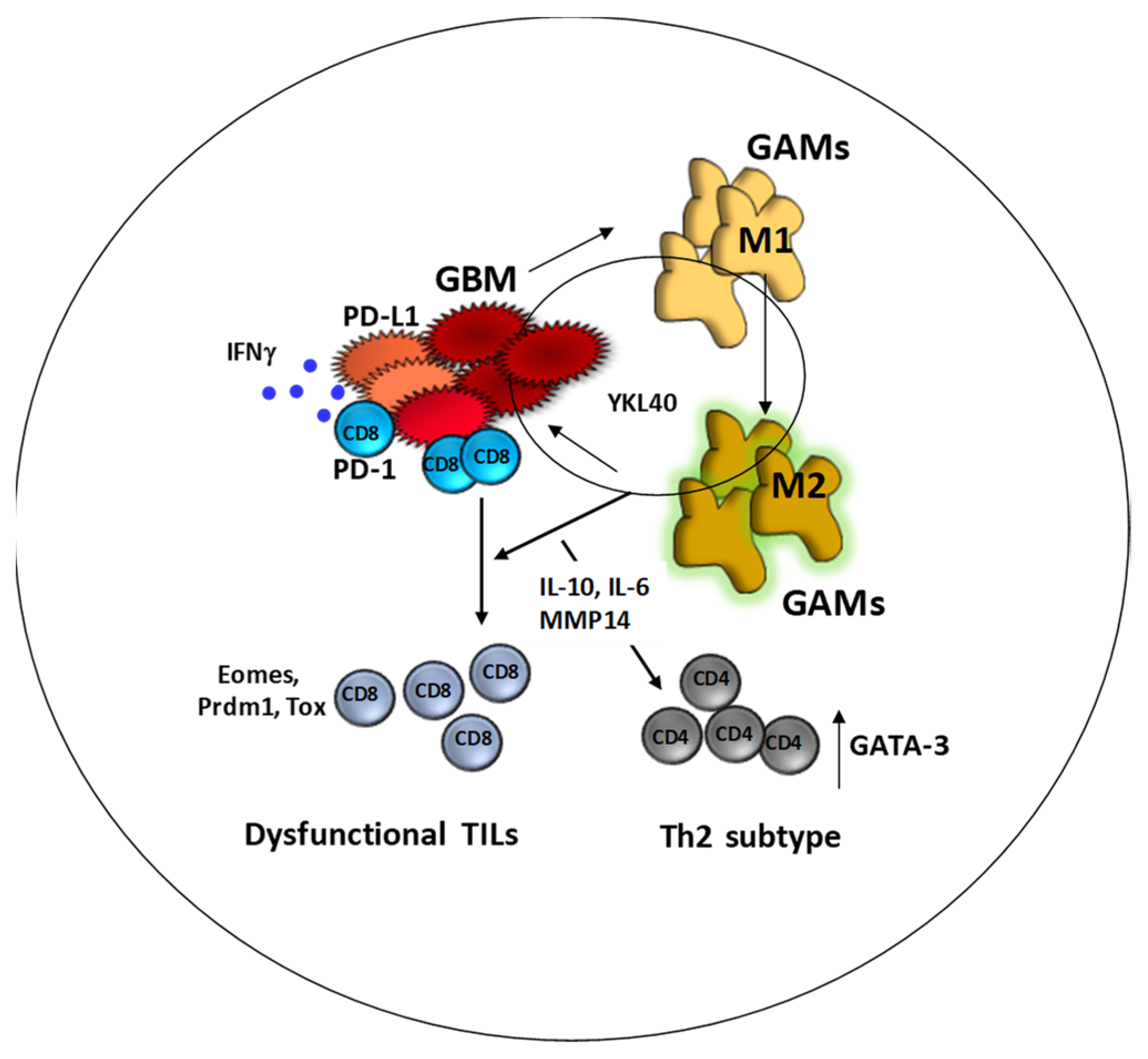 Cancers 13 06156 g003