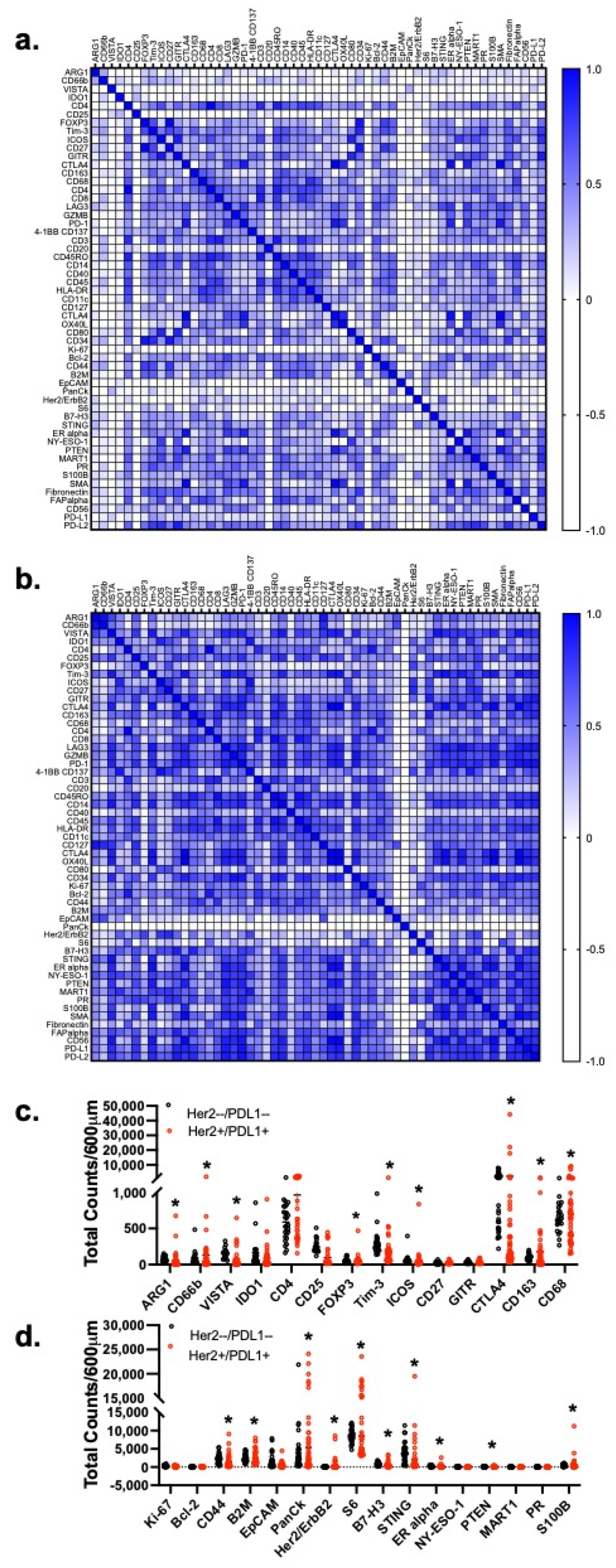 Cancers 13 06158 g003