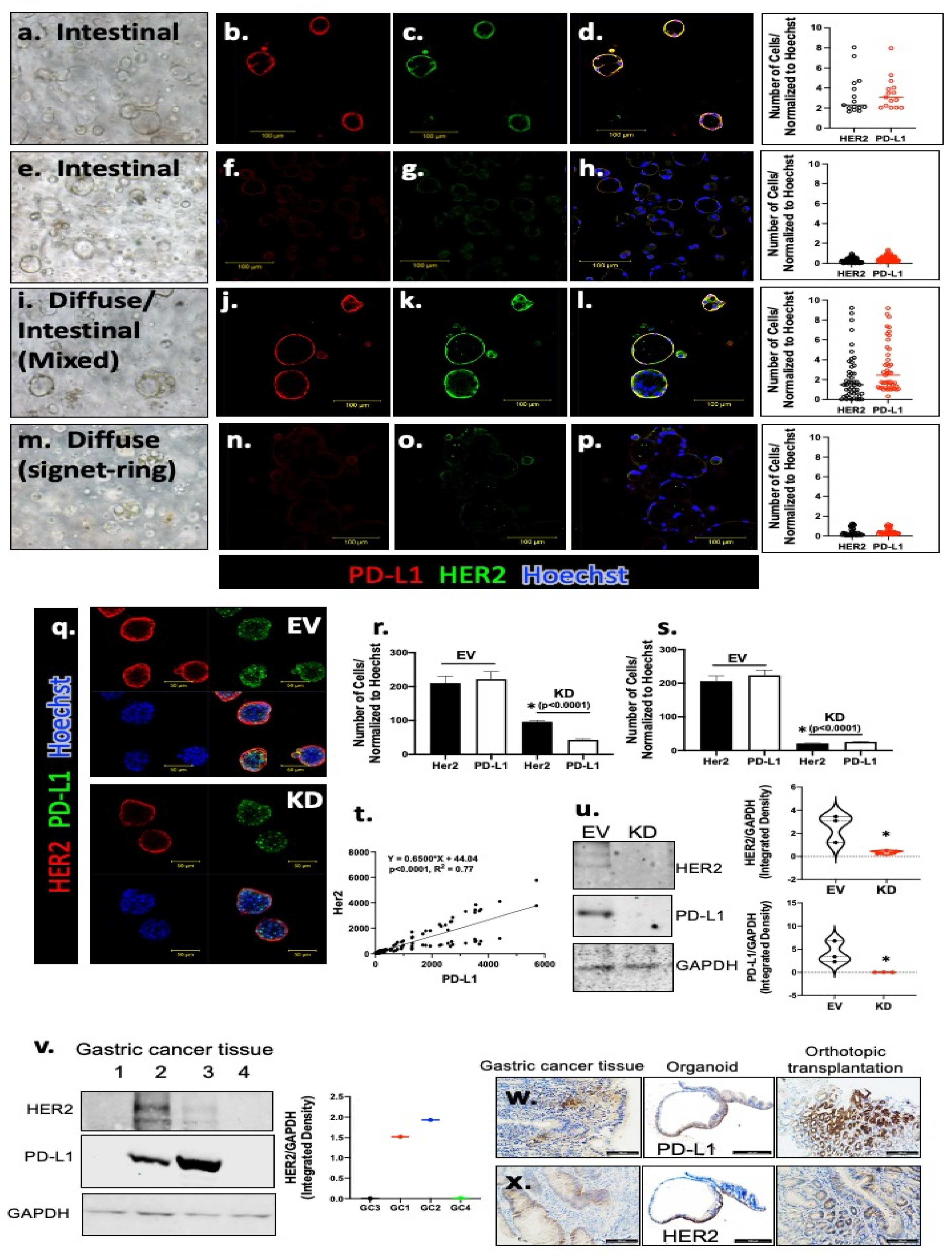 Cancers 13 06158 g006