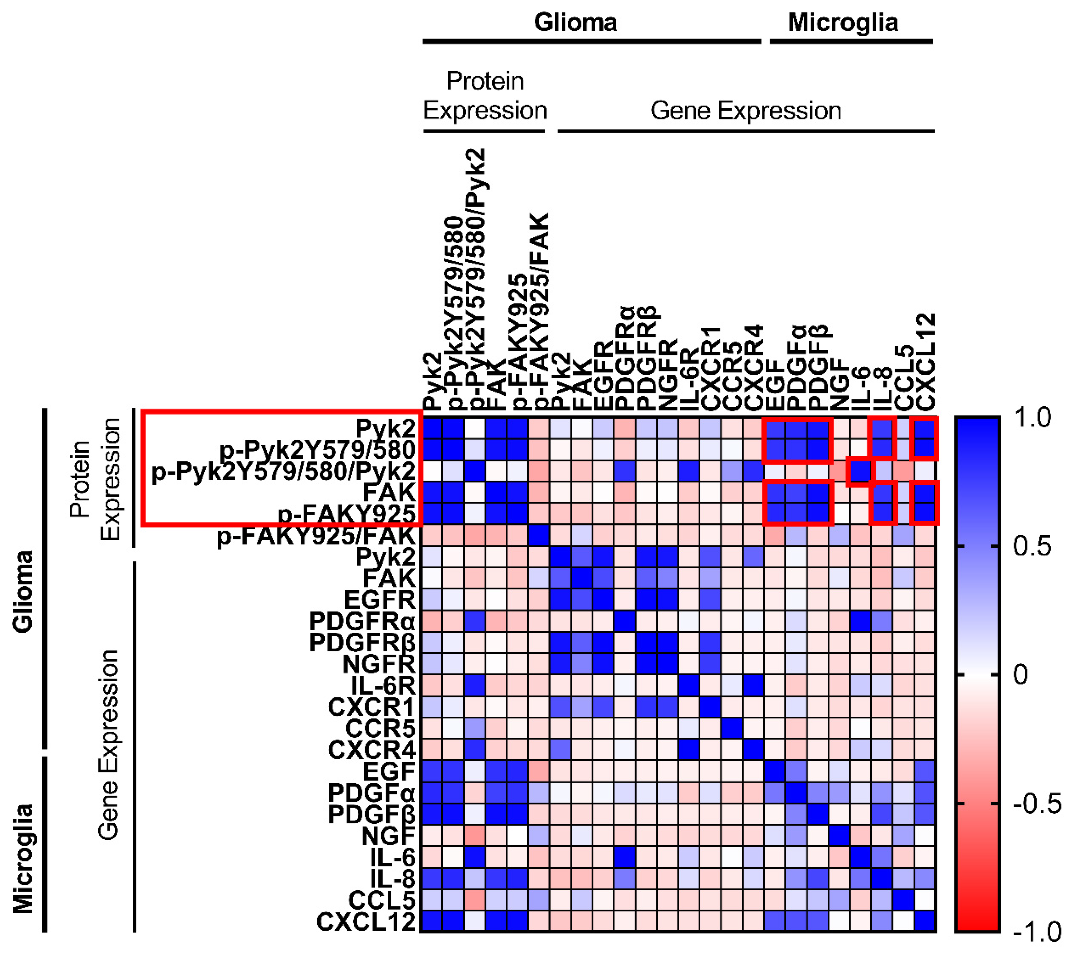 Cancers 13 06160 g001