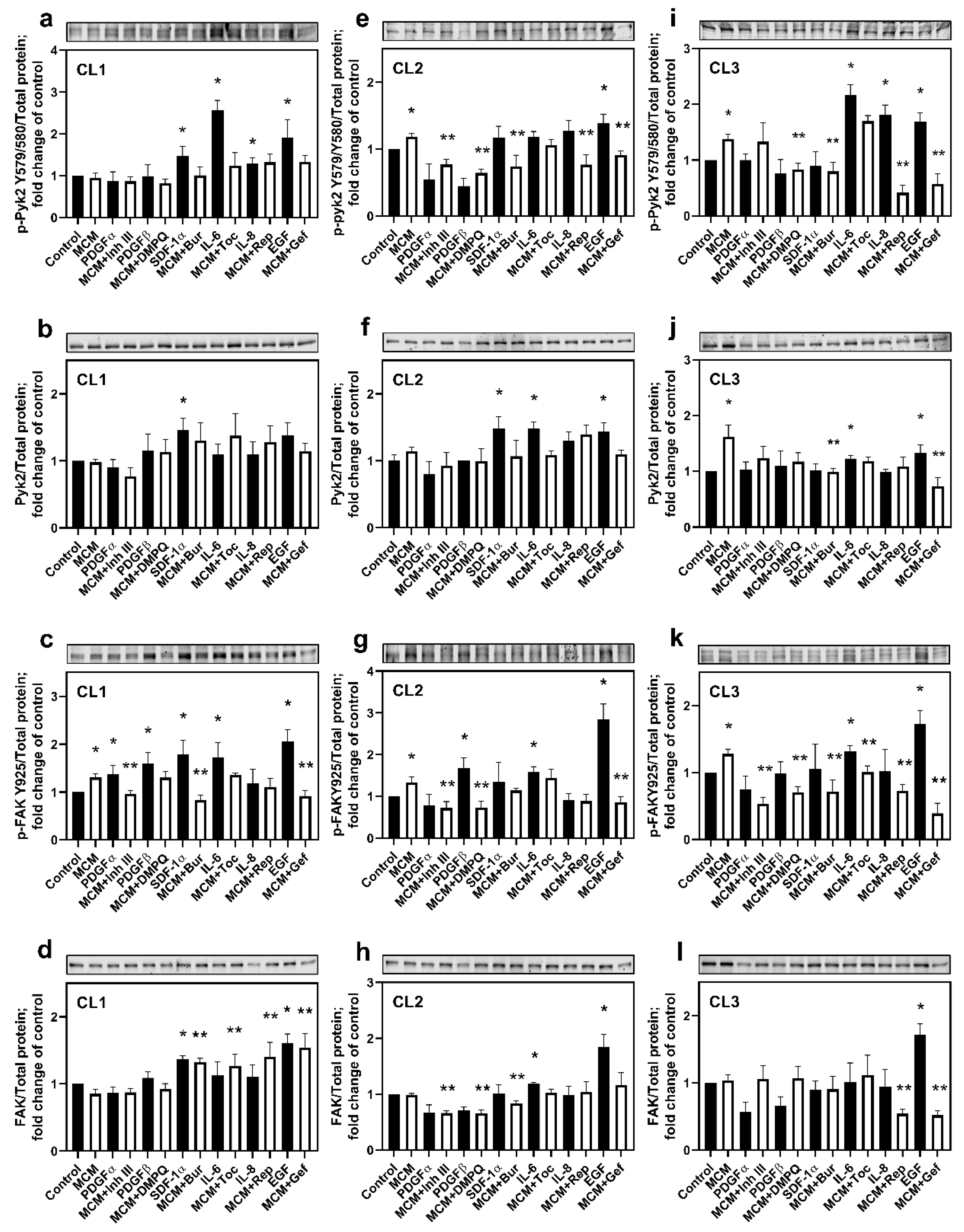 Cancers 13 06160 g002