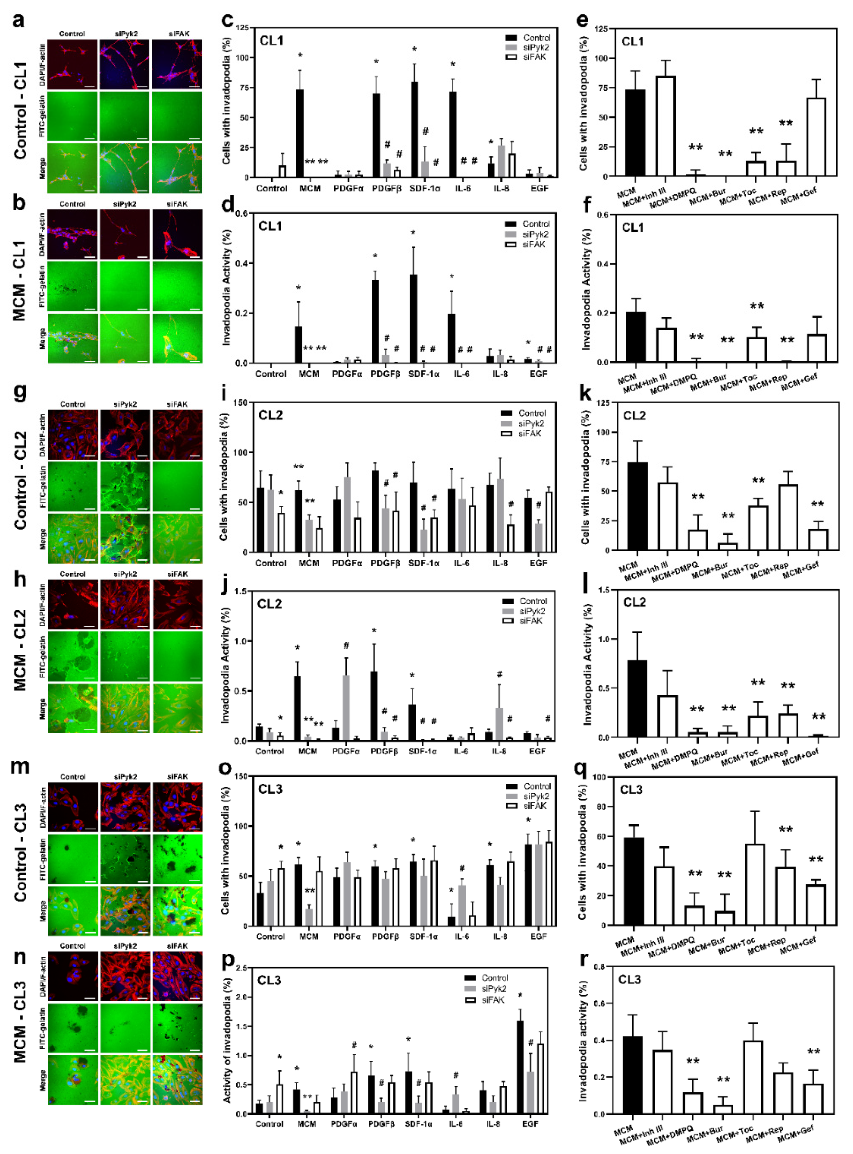 Cancers 13 06160 g003